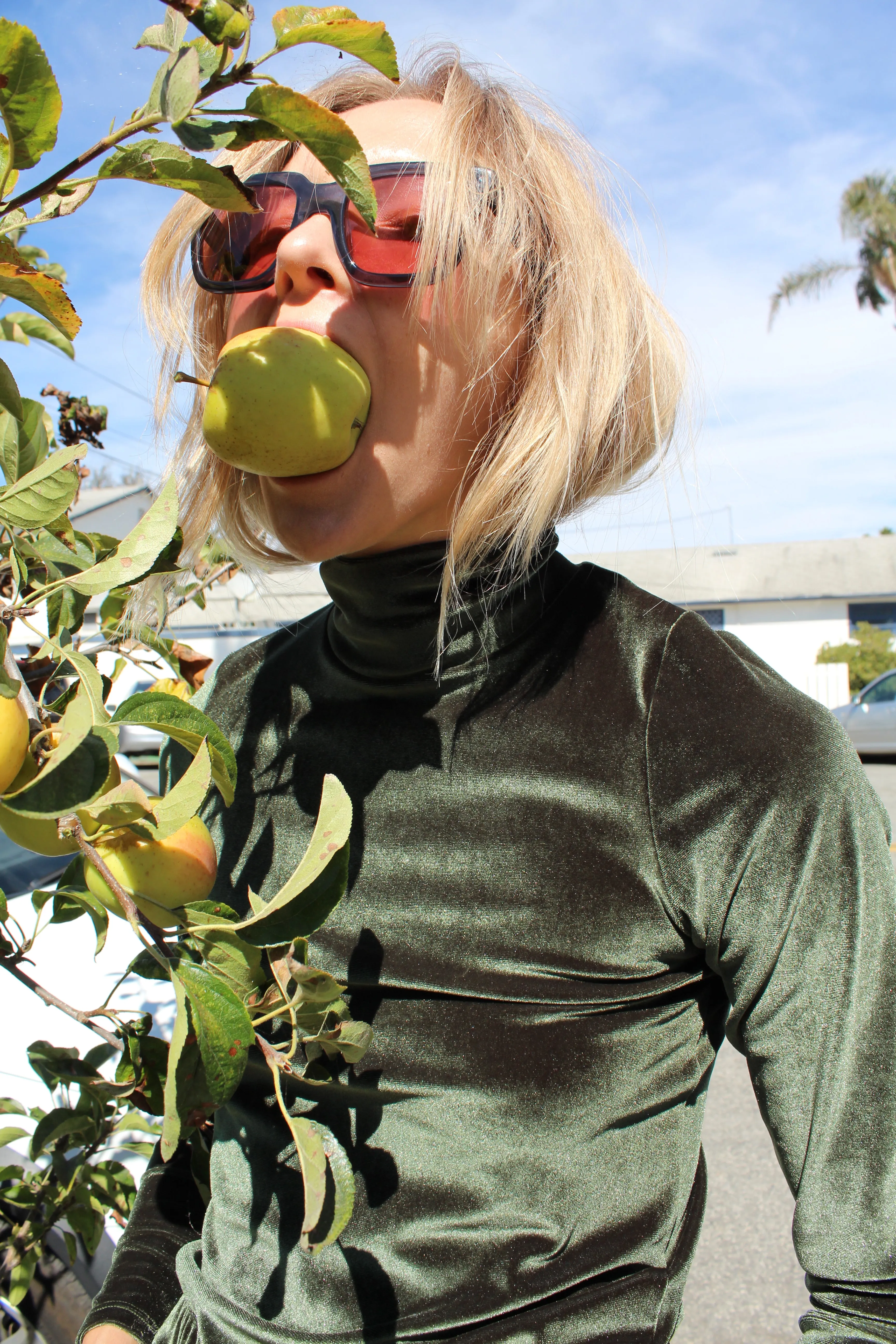 No.6 Ruffle Gloria Turtleneck Forest Velvet sold by Beklina product image thumbnail 3