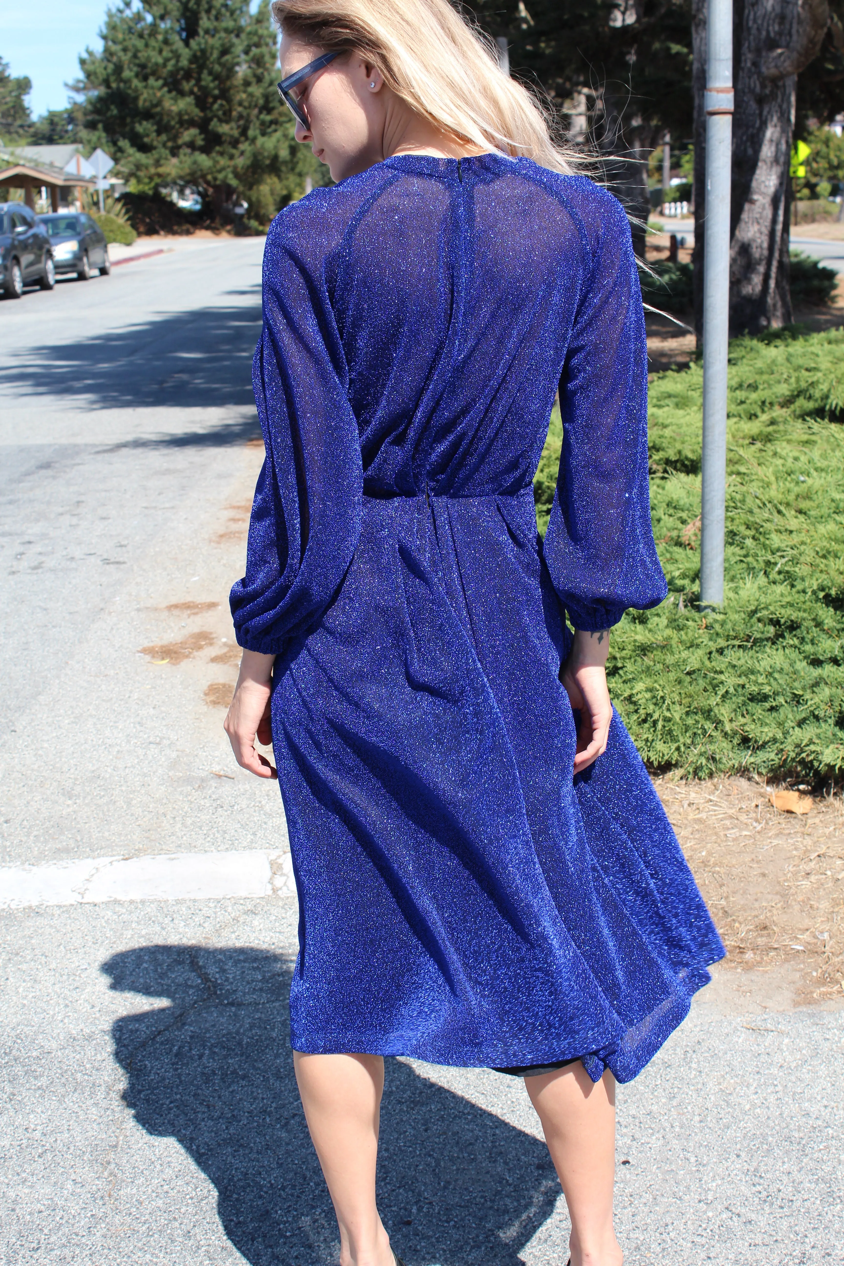 Rachel Comey Bartram Dress Blue sold by Beklina product image thumbnail 4