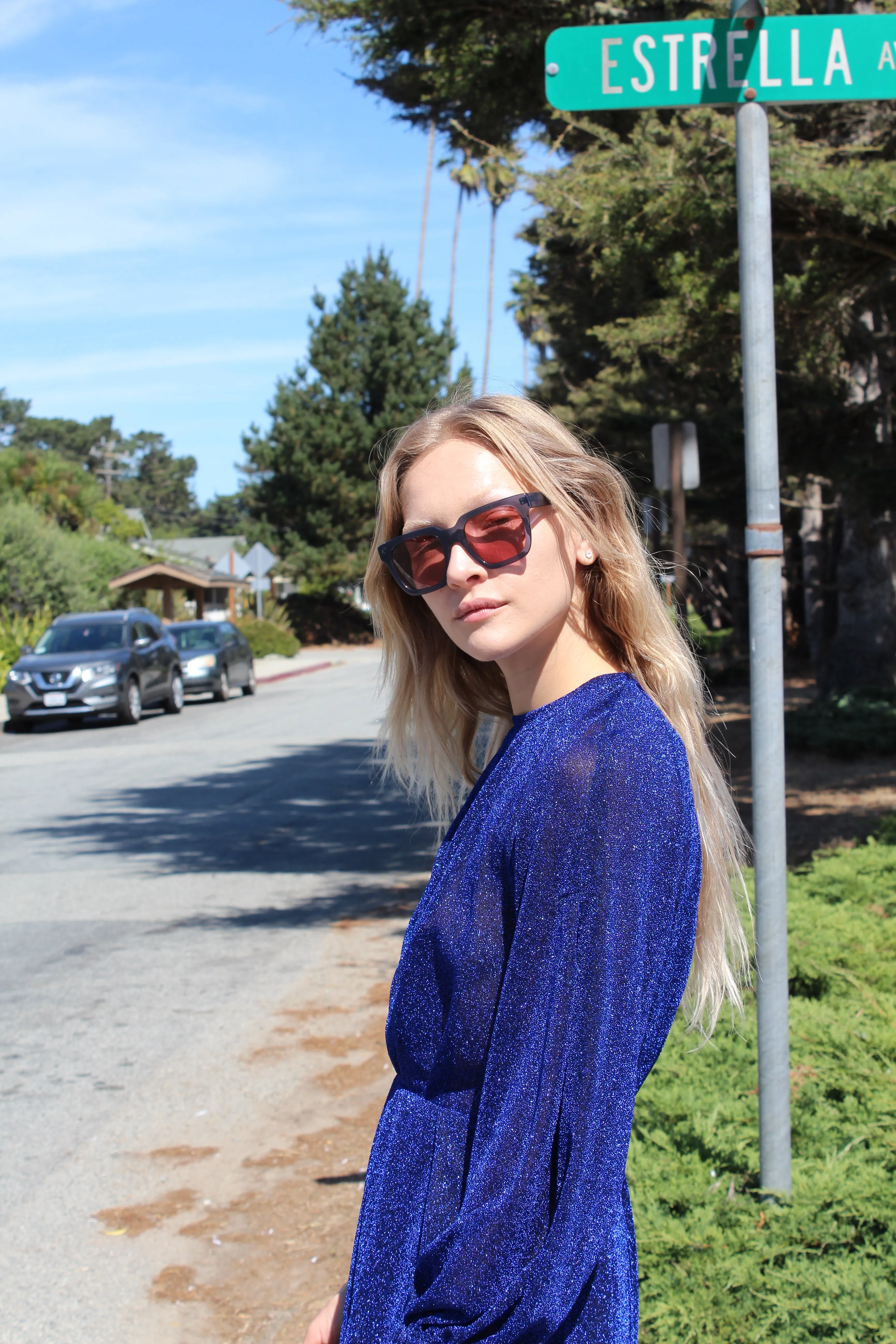 Rachel Comey Bartram Dress Blue sold by Beklina product image thumbnail 2