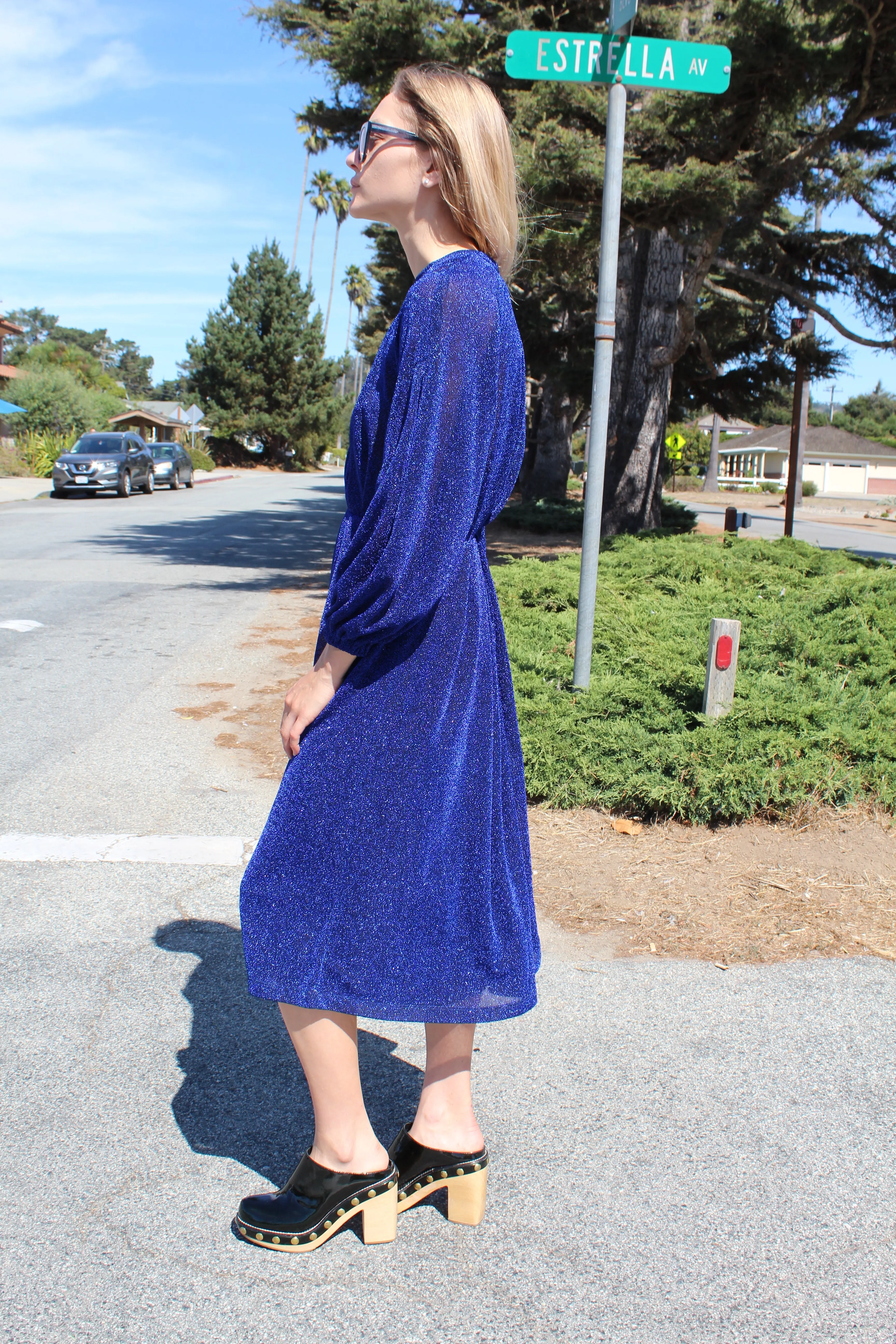 Rachel Comey Bartram Dress Blue sold by Beklina product image thumbnail 5