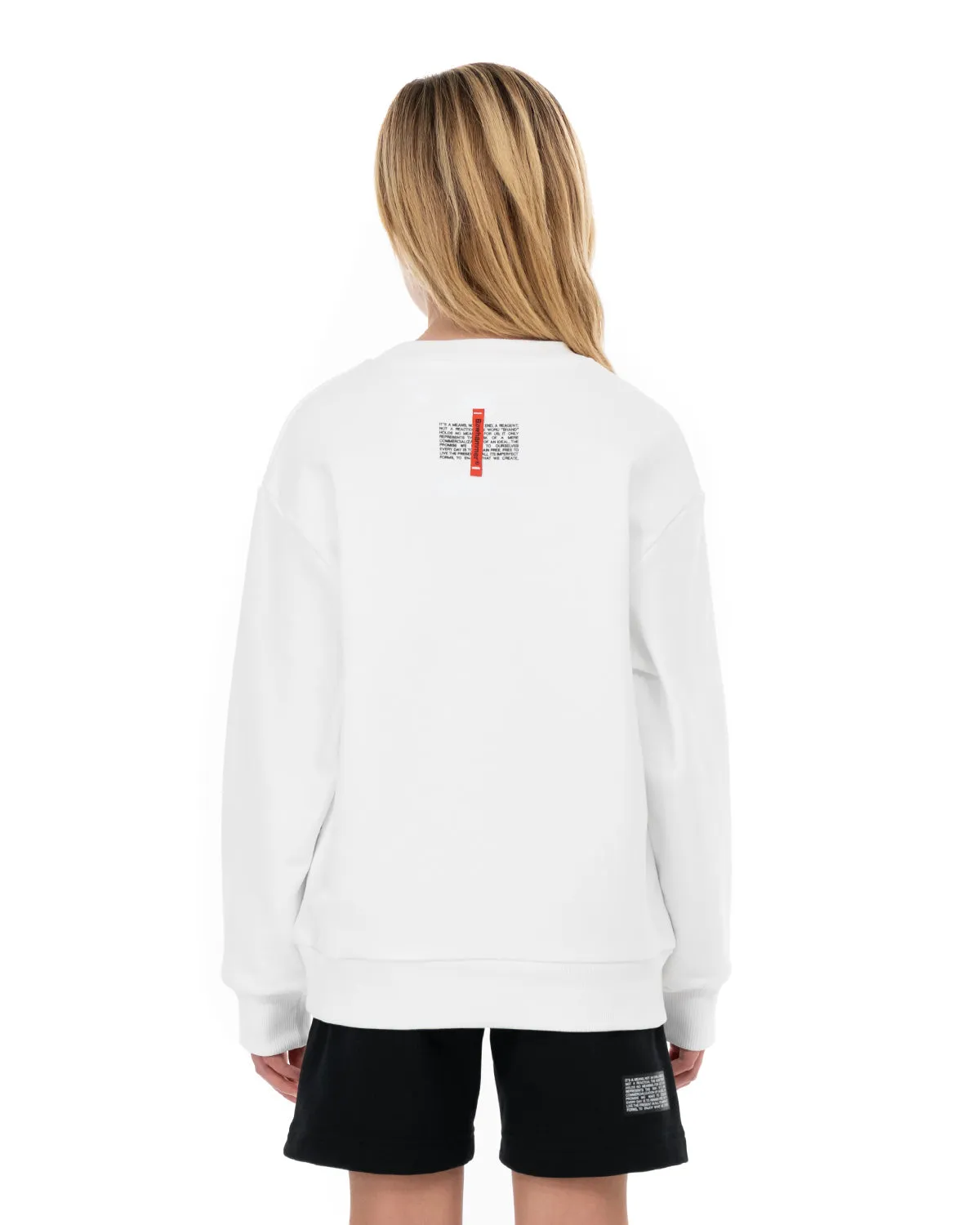 No Brand Crewneck Sweatshirt sold by Blowhammer product image thumbnail 3