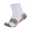 Thick Padded Compression Running Crew Socks | 3 Pairs sold by Hywell Store