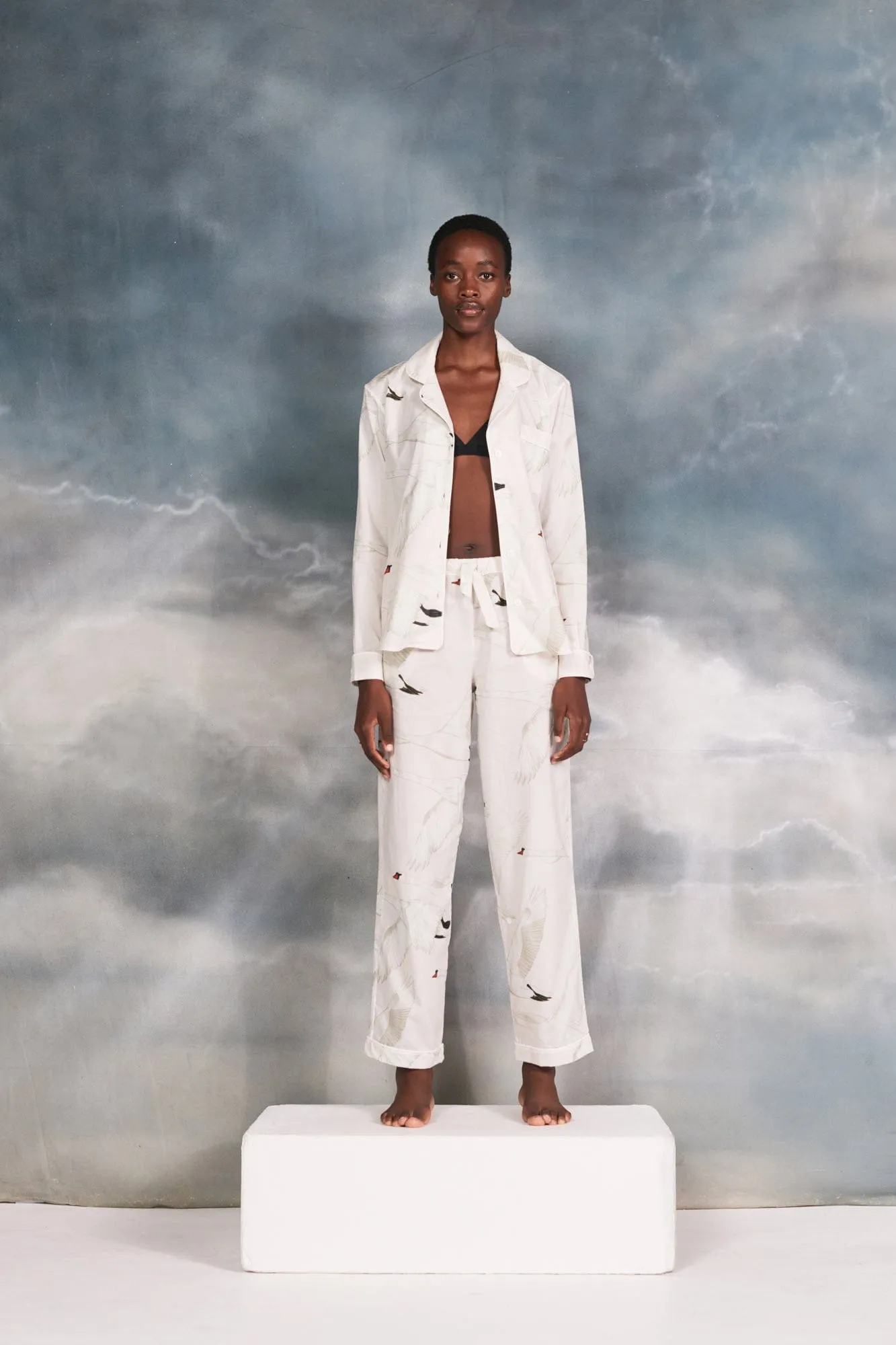 Long Pyjama Set Cygnus Swan Print Cream sold by Desmond & Dempsey