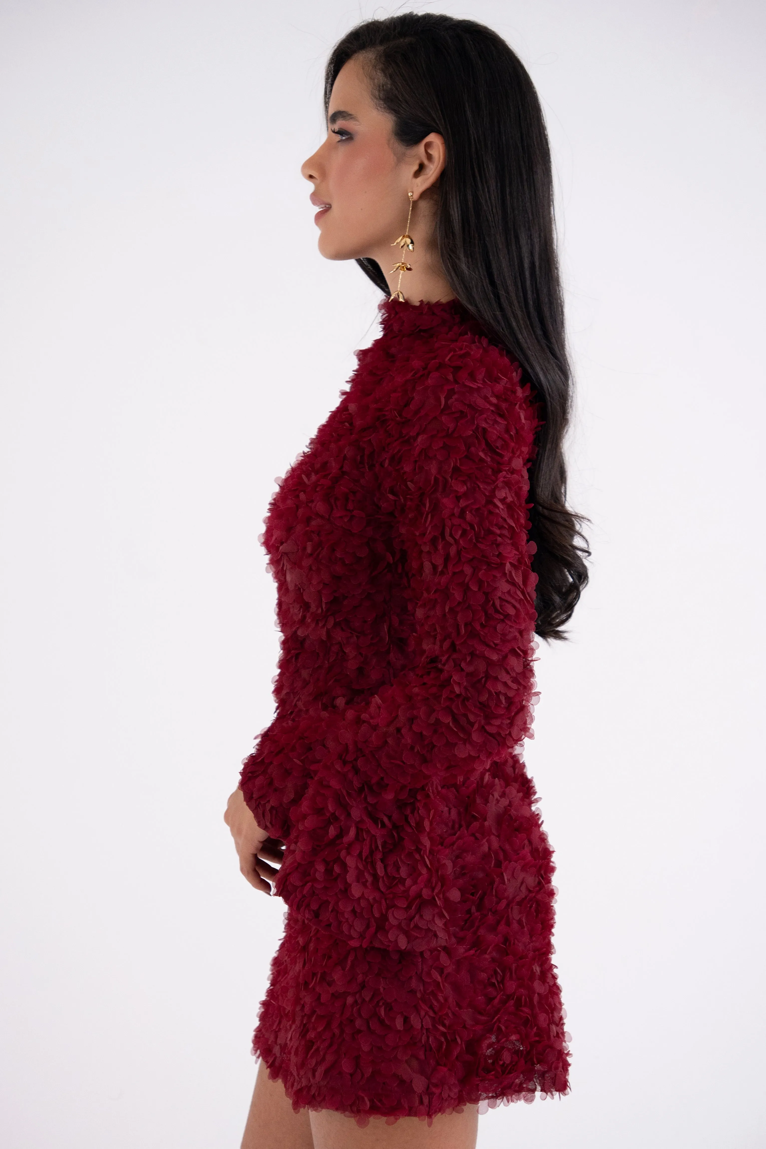 Delphine Burgundy 3D Floral Textured Mini Dress sold by AMYLYNN product image thumbnail 4