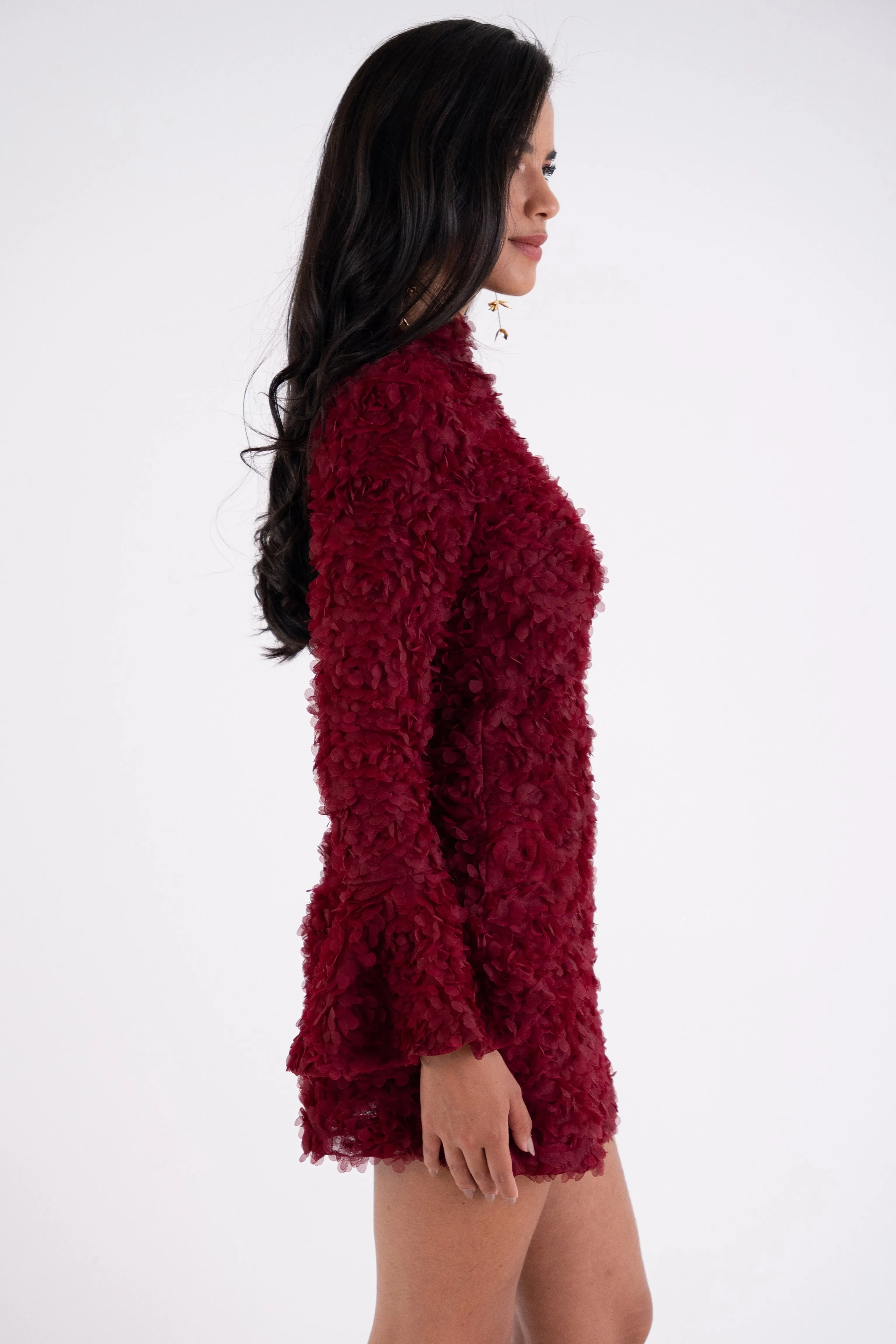 Delphine Burgundy 3D Floral Textured Mini Dress sold by AMYLYNN product image thumbnail 3