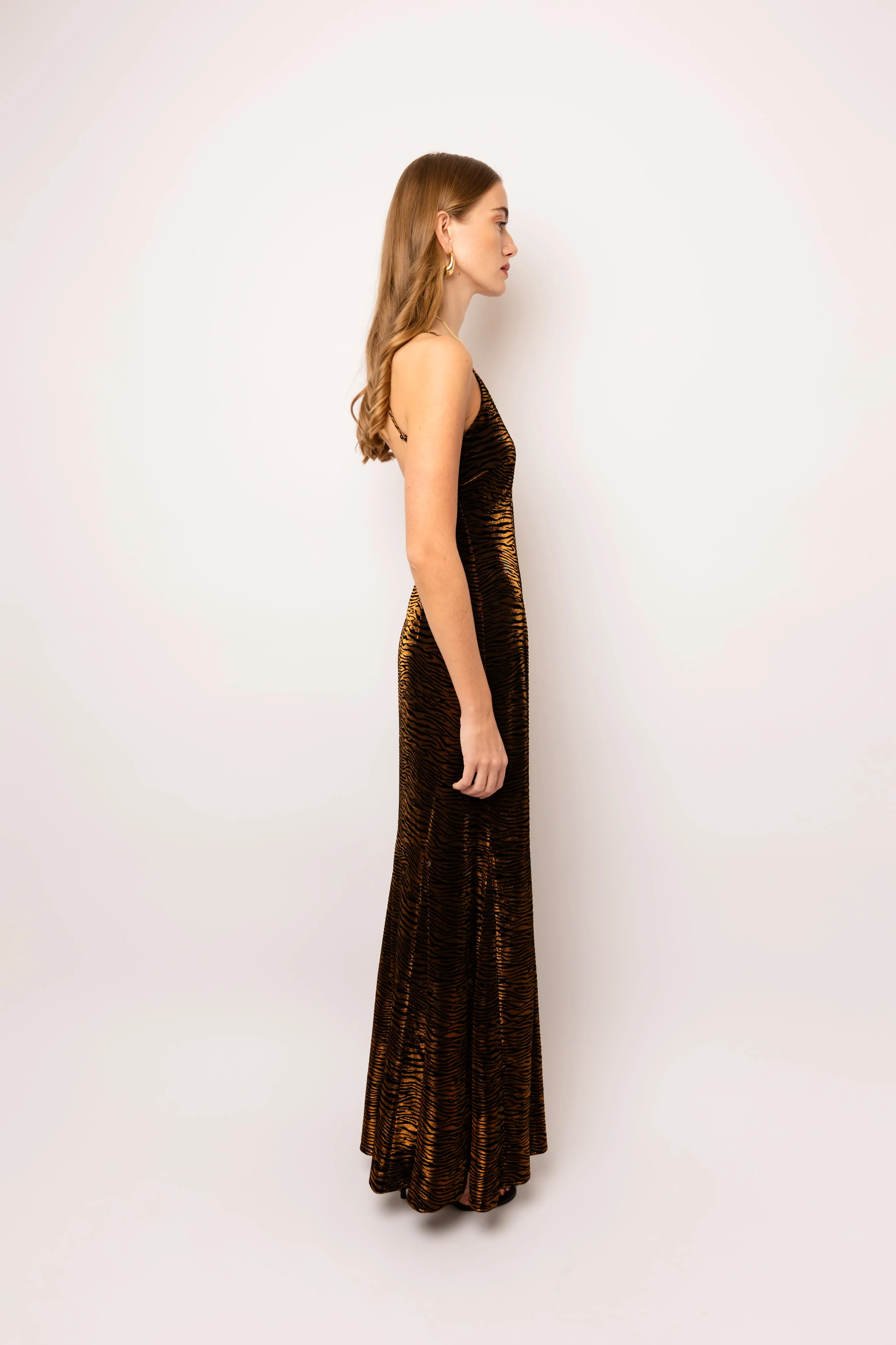 Talia Brown Tiger Velvet Burnout Maxi Dress sold by AMYLYNN product image thumbnail 5