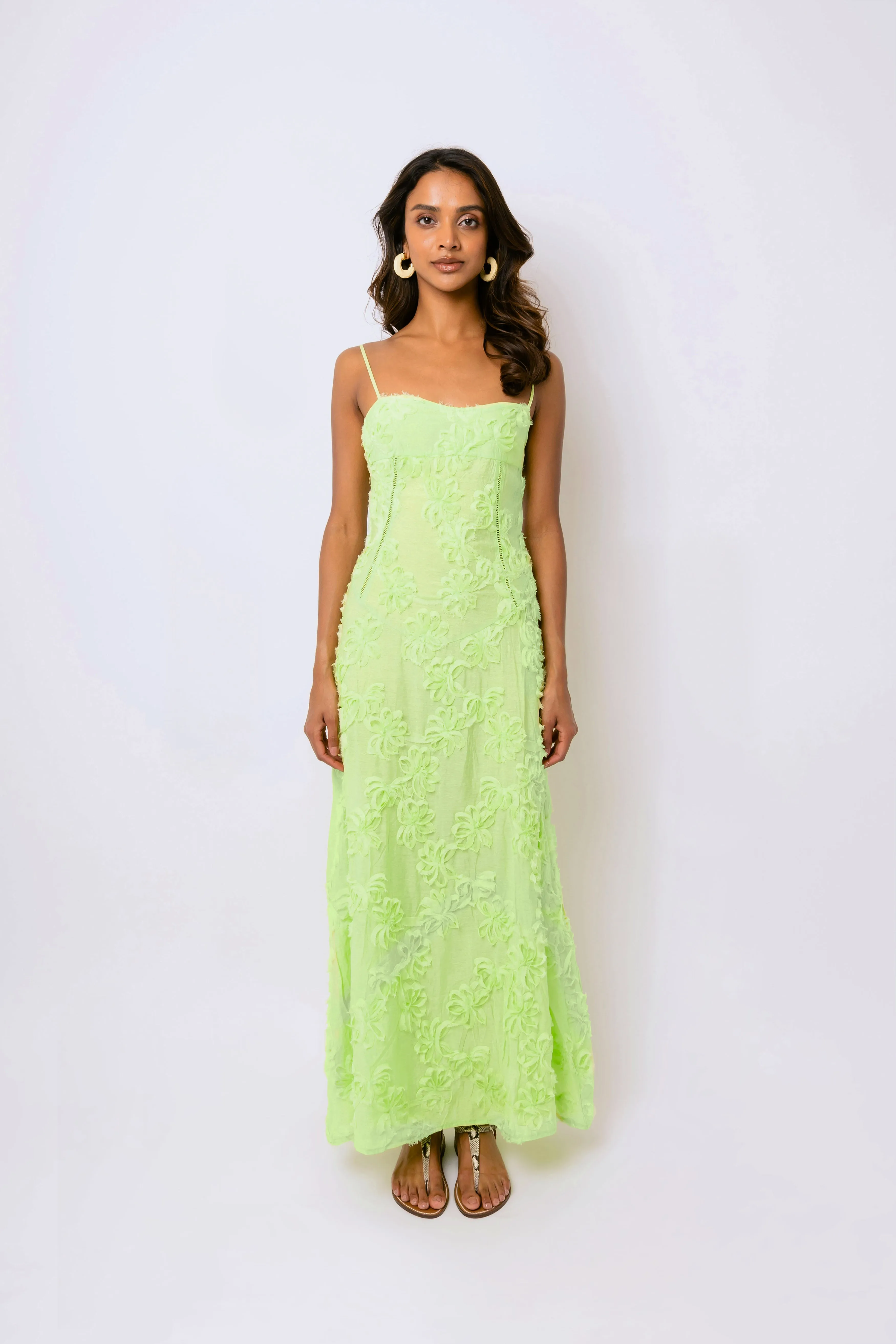 Sofia Chartreuse Green Semi Sheer Maxi Dress sold by AMYLYNN