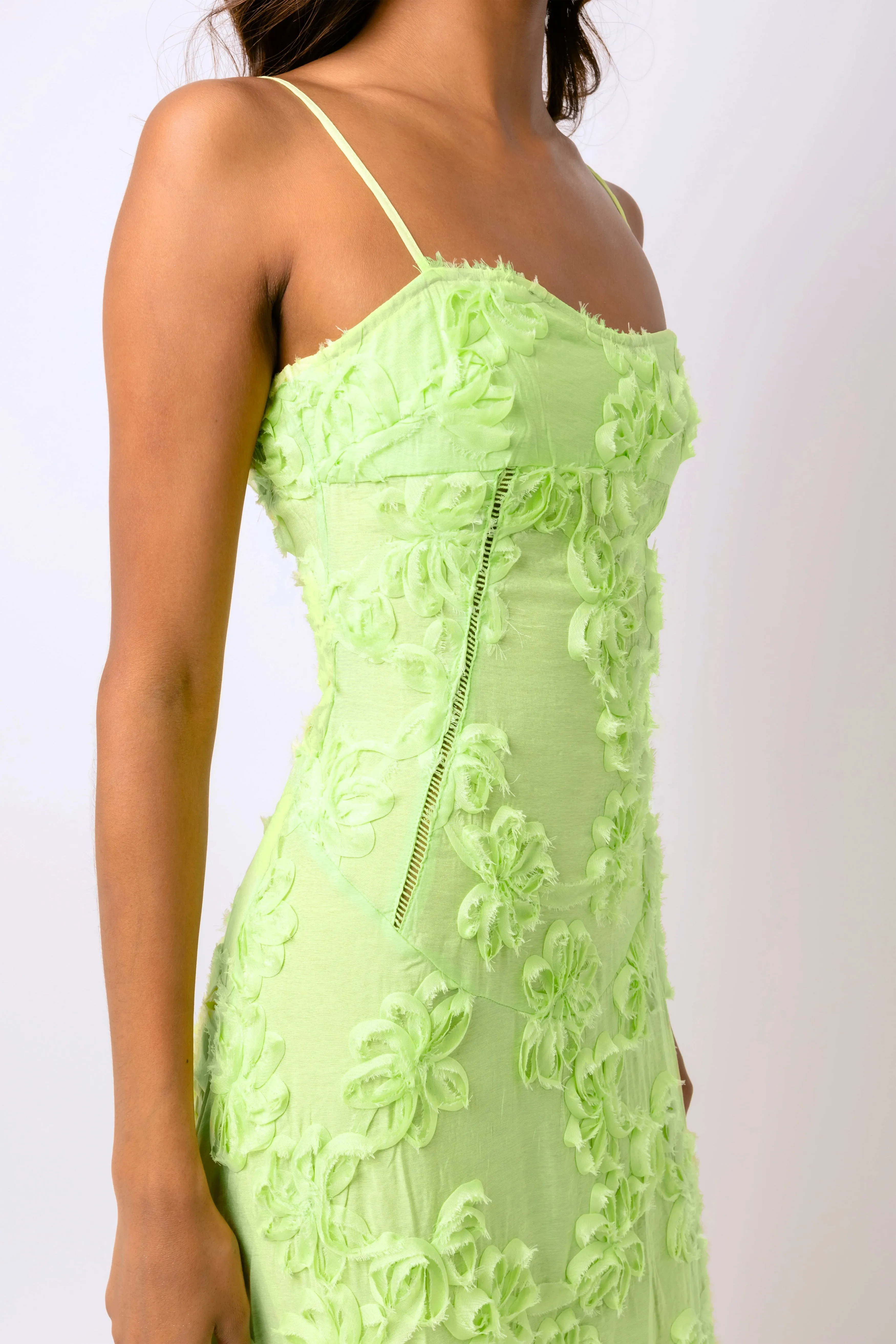 Sofia Chartreuse Green Semi Sheer Maxi Dress sold by AMYLYNN product image thumbnail 2