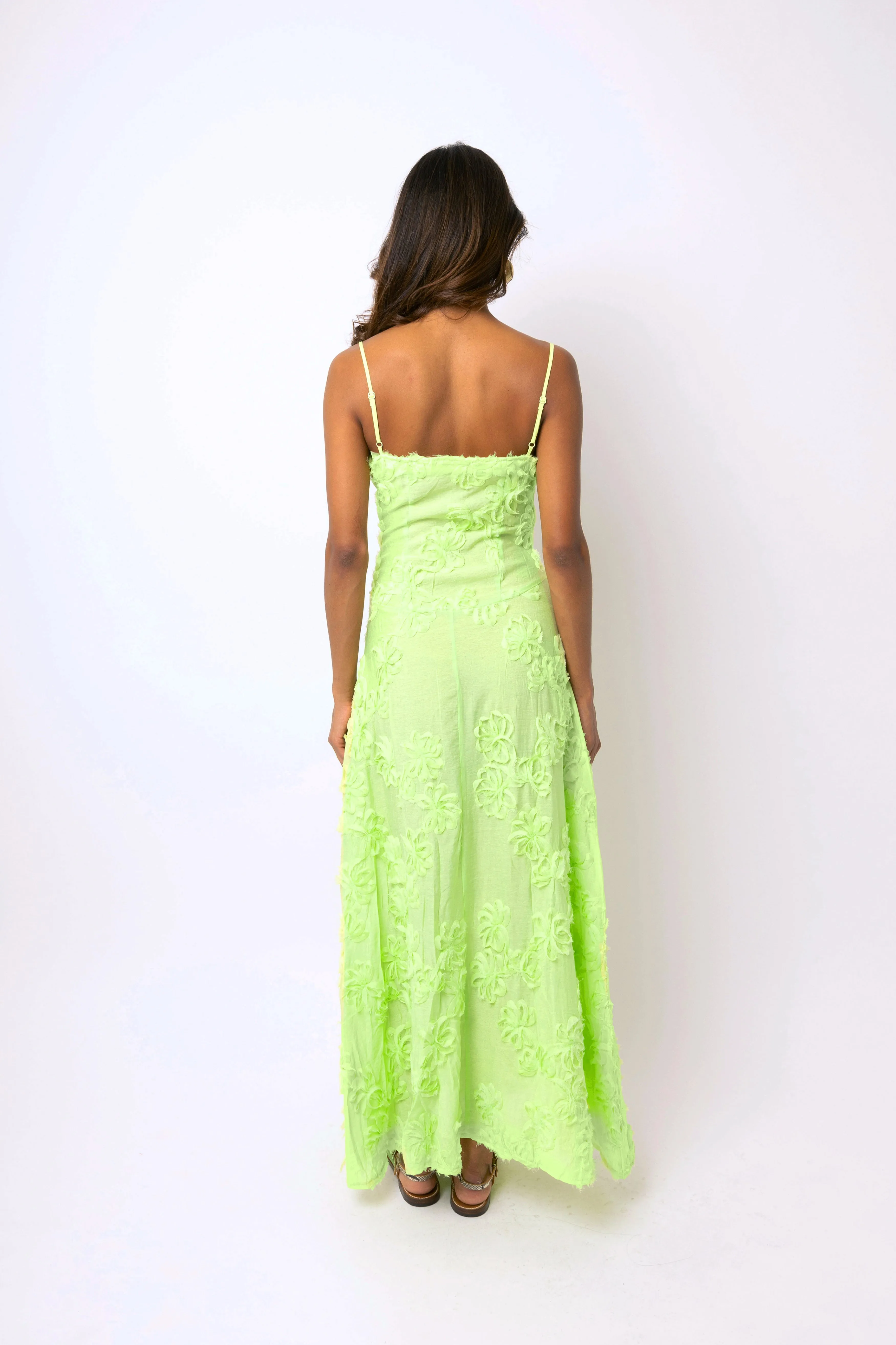 Sofia Chartreuse Green Semi Sheer Maxi Dress sold by AMYLYNN product image thumbnail 4