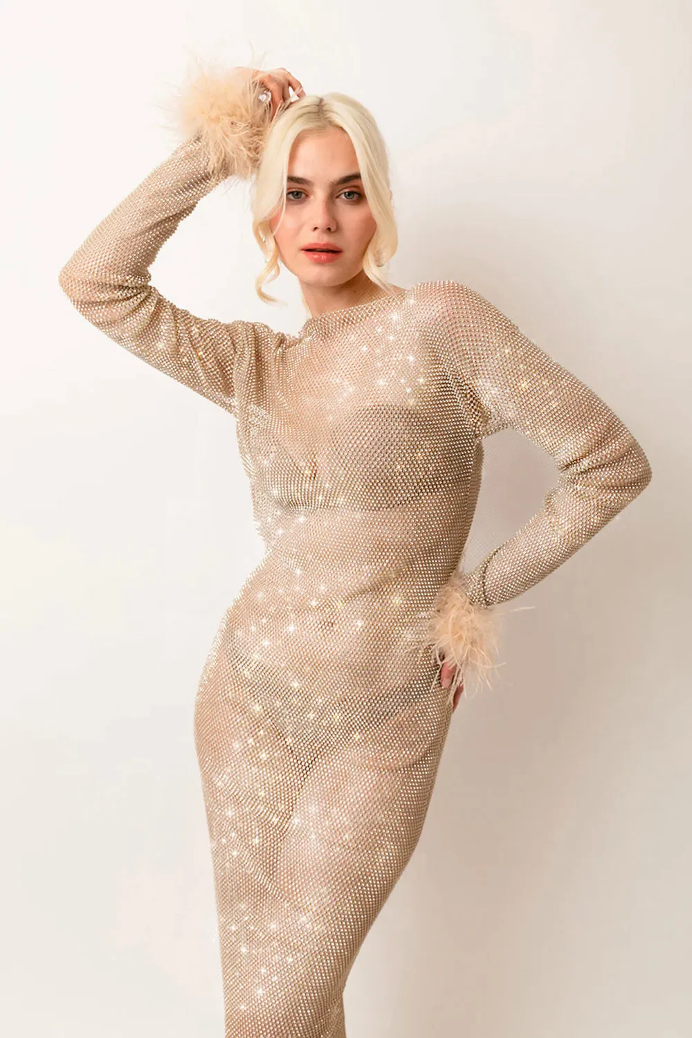 Seville Champagne Net Mesh Rhinestone Maxi Dress sold by AMYLYNN product image thumbnail 2