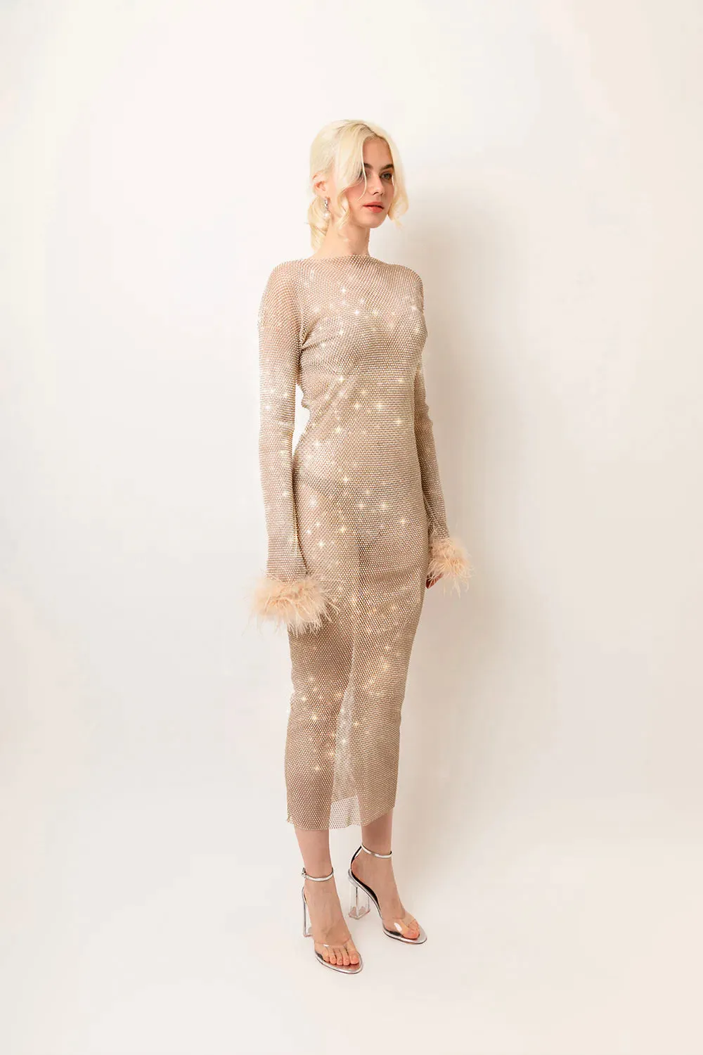 Seville Champagne Net Mesh Rhinestone Maxi Dress sold by AMYLYNN product image thumbnail 3