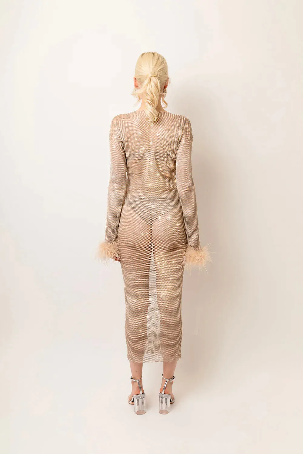 Seville Champagne Net Mesh Rhinestone Maxi Dress sold by AMYLYNN product image thumbnail 4