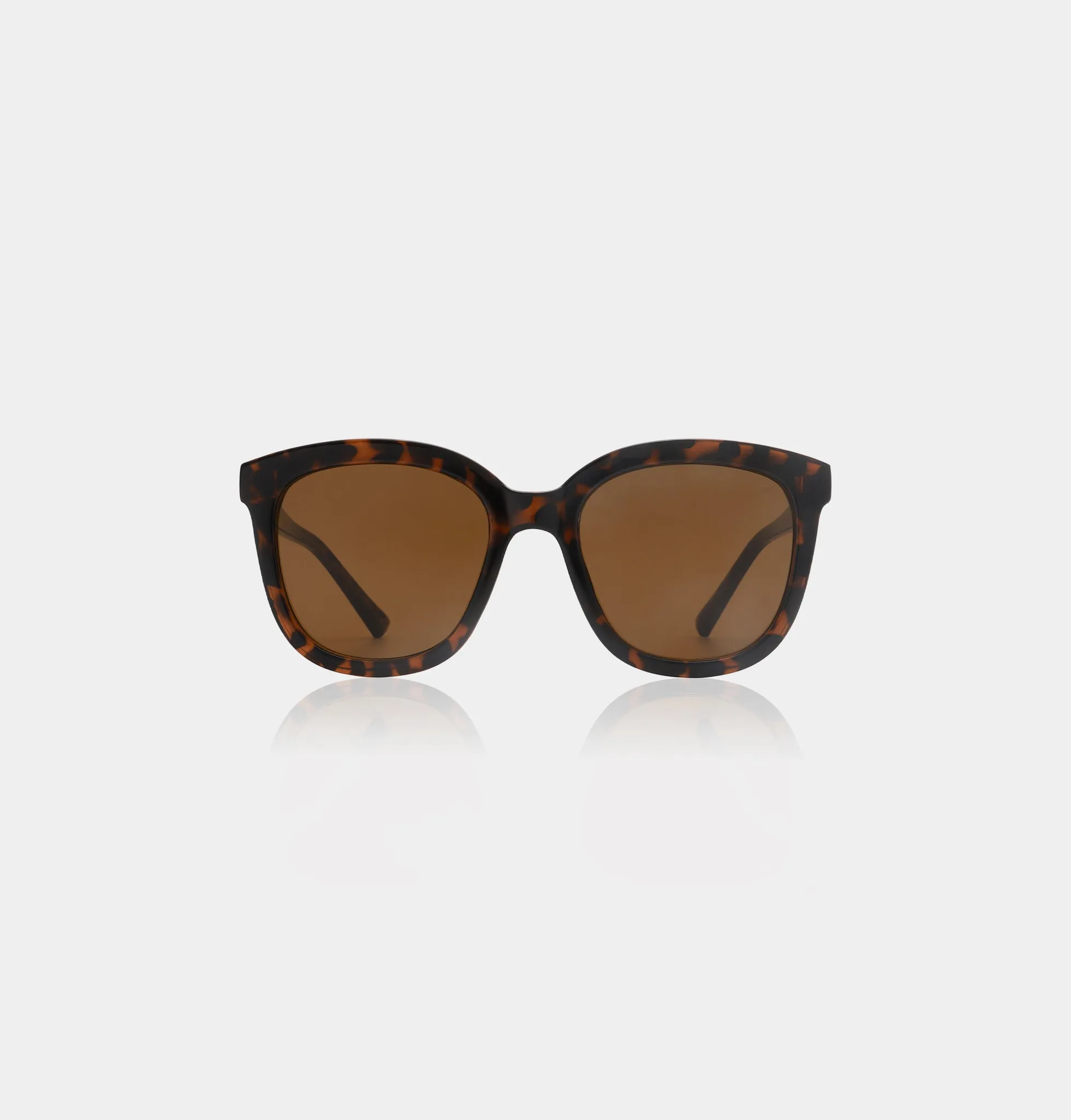 Billy - Demi Tortoise sold by A.kjaerbede