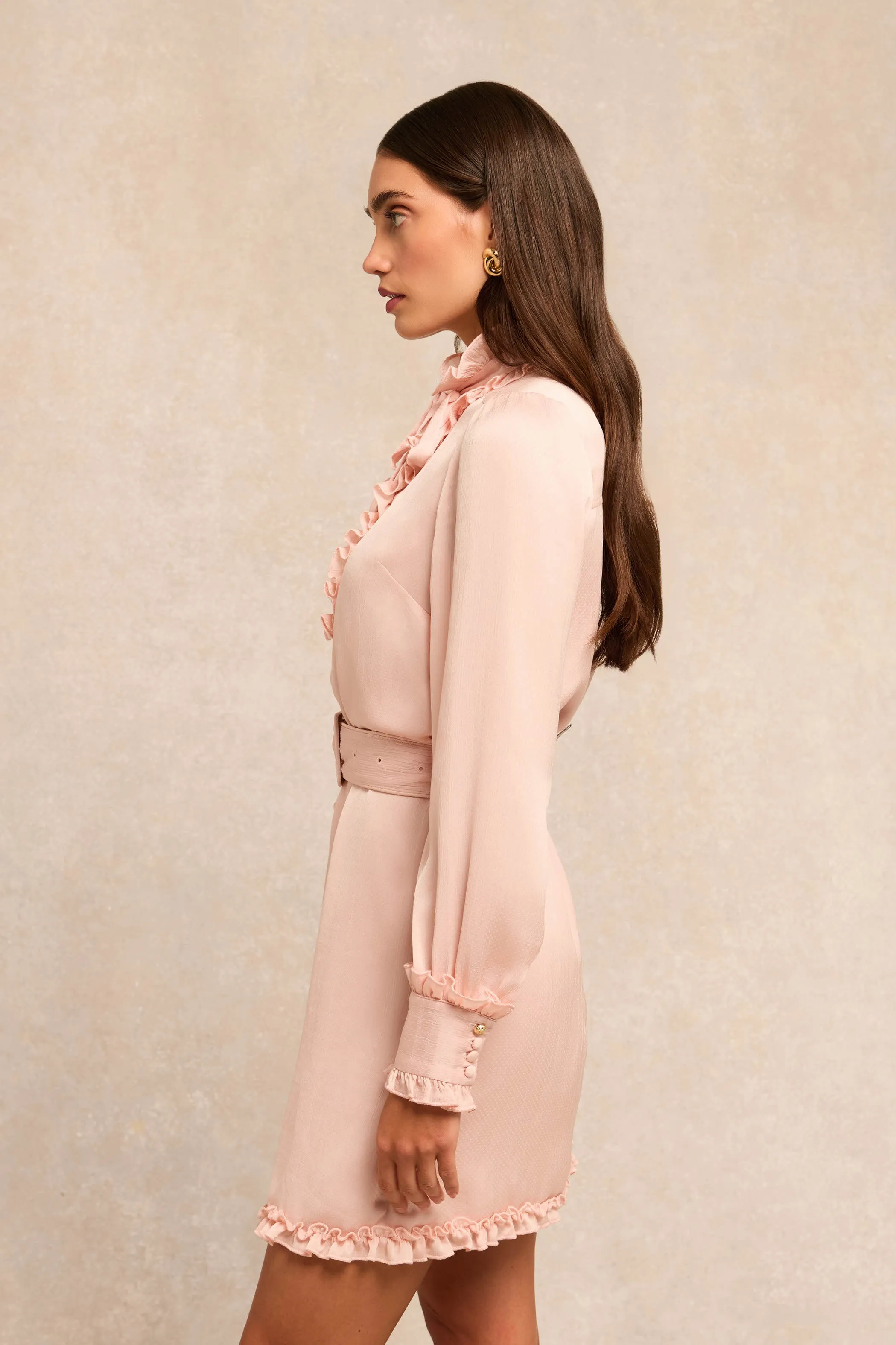 Rebecca Ruffle Dress (Blush) sold by Holland Cooper product image thumbnail 5