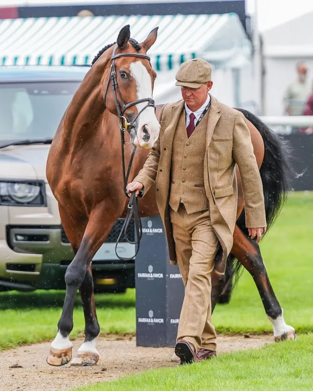 Matt Heath's Burghley Trot Up Look One made by Holland Cooper