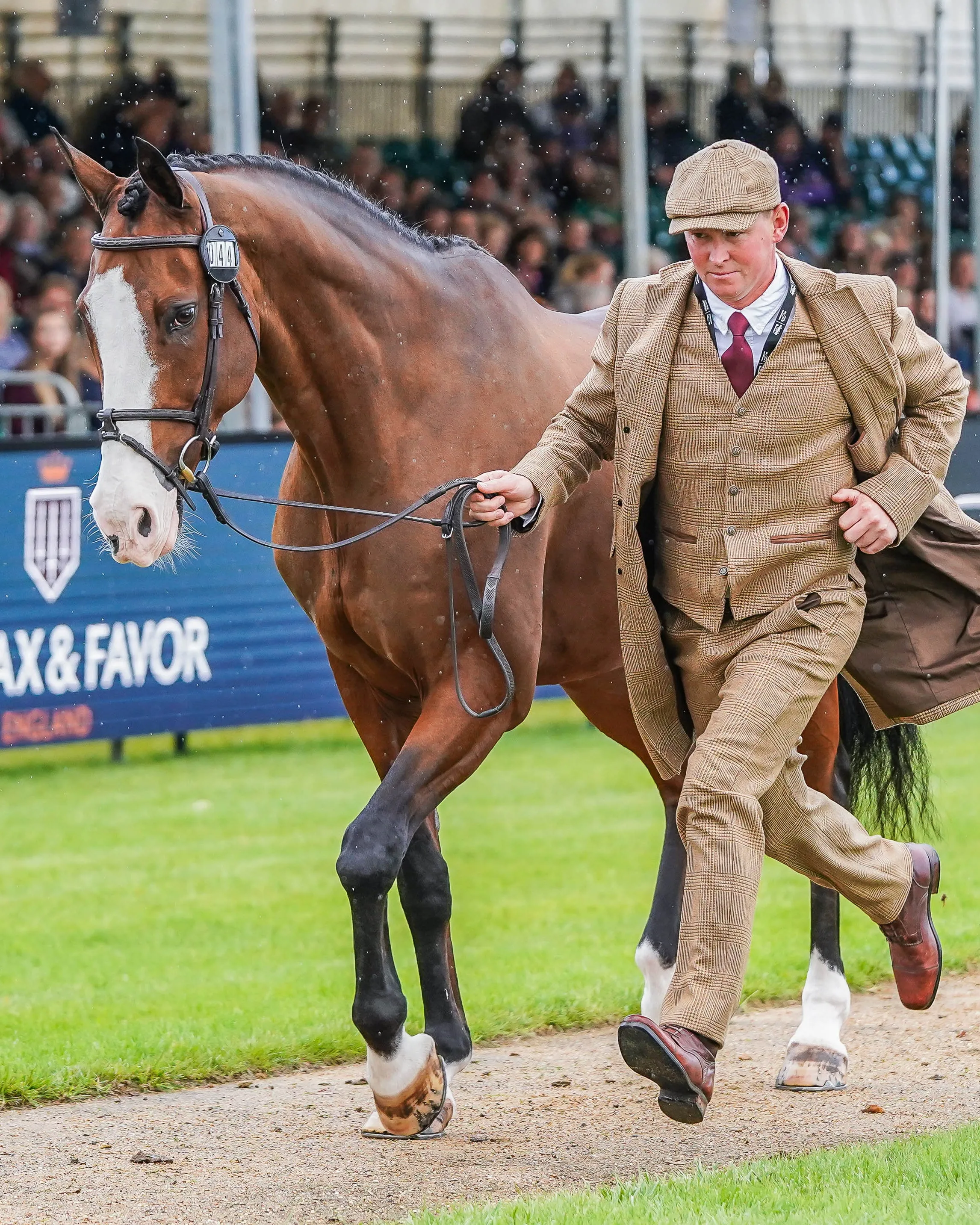 Matt Heath's Burghley Trot Up Look One sold by Holland Cooper product image thumbnail 2