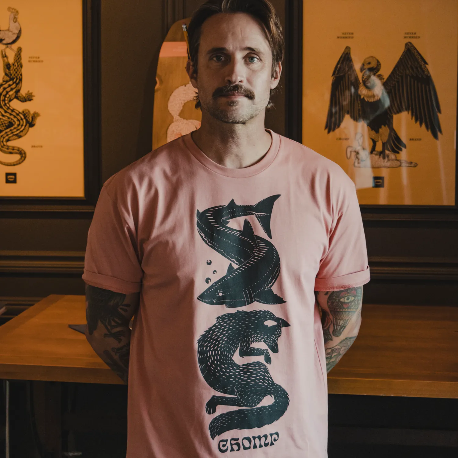 Shark Fox sold by Chomp product image thumbnail 4