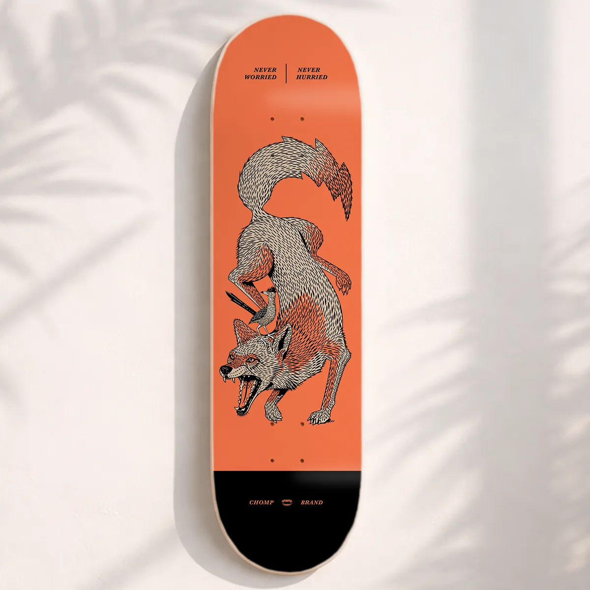 NEVER WORRIED SKATE DECKS | 8.5 sold by Chomp product image thumbnail 3