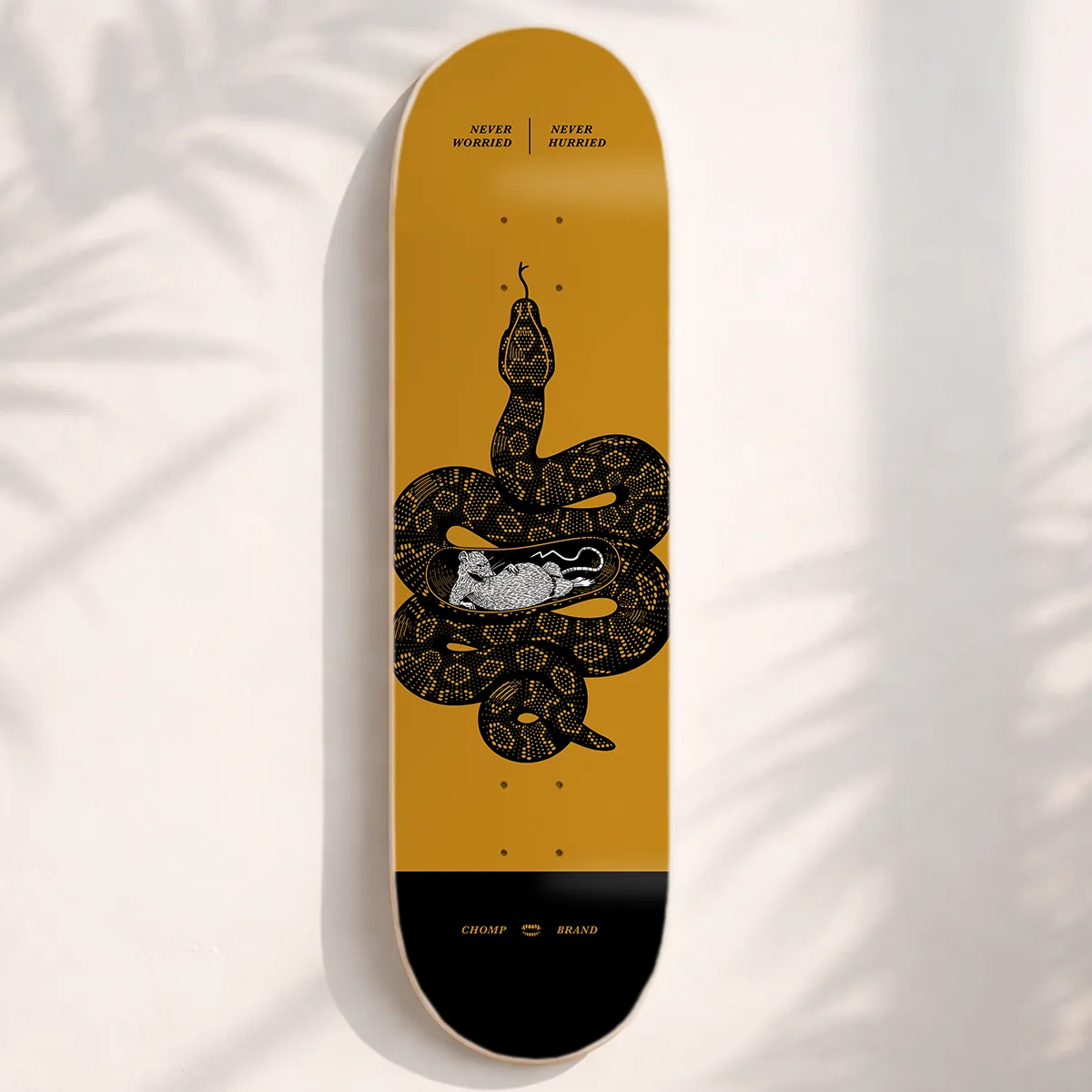 NEVER WORRIED SKATE DECKS | 8.5 sold by Chomp product image thumbnail 4