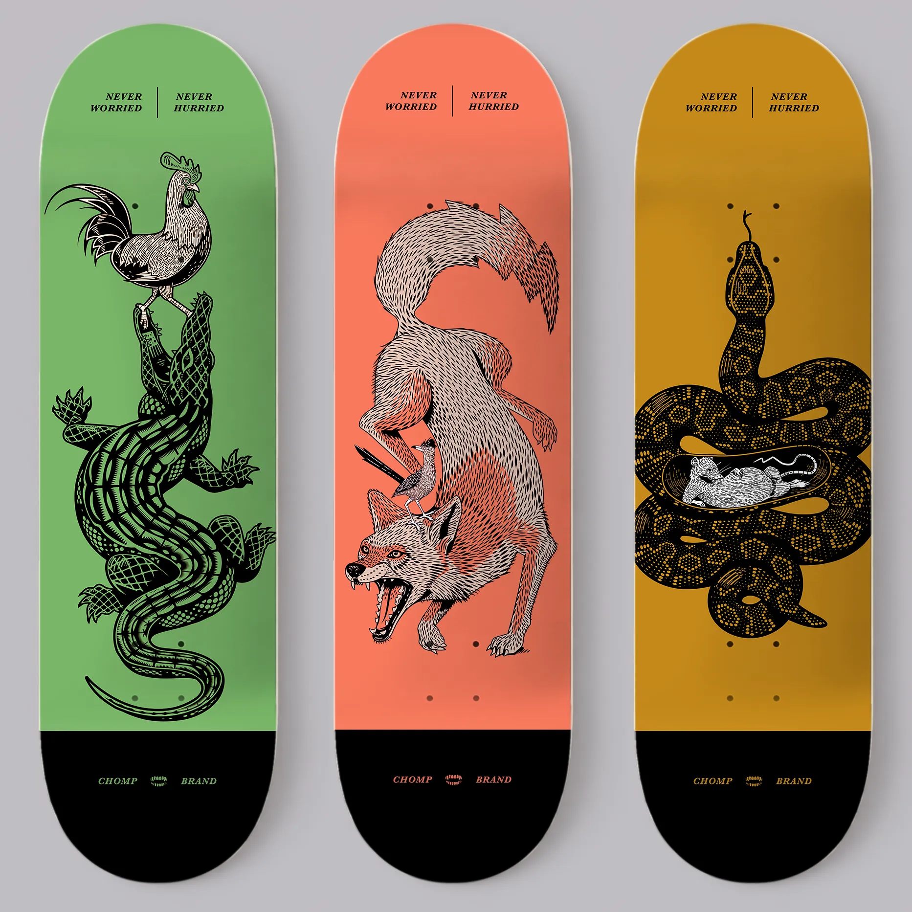 NEVER WORRIED SKATE DECKS | 8.5 sold by Chomp