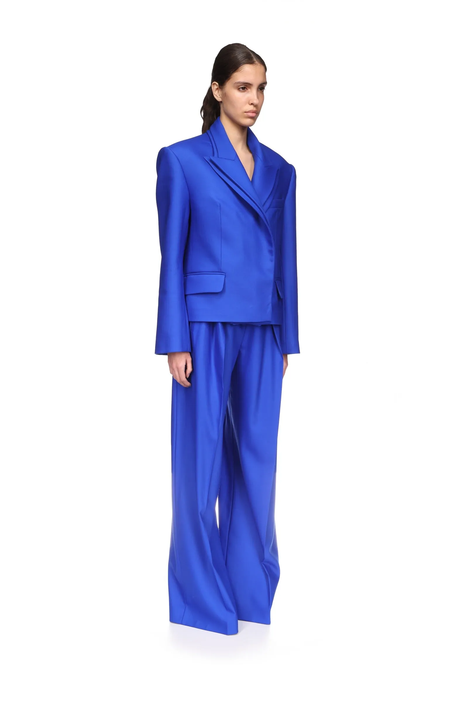FRONT PLEAT WIDE LEG TROUSERS sold by David Koma product image thumbnail 4