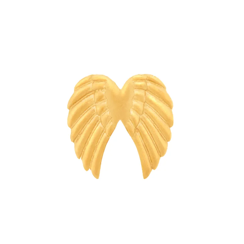 Wings Charm sold by 7879