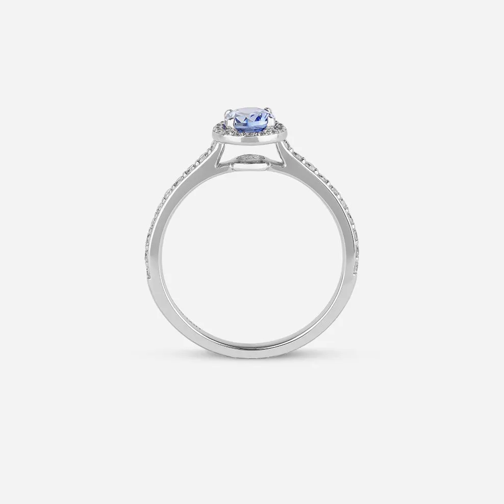 Oval Halo Sapphire Ring - Colour D/VVS sold by 7879 product image thumbnail 3
