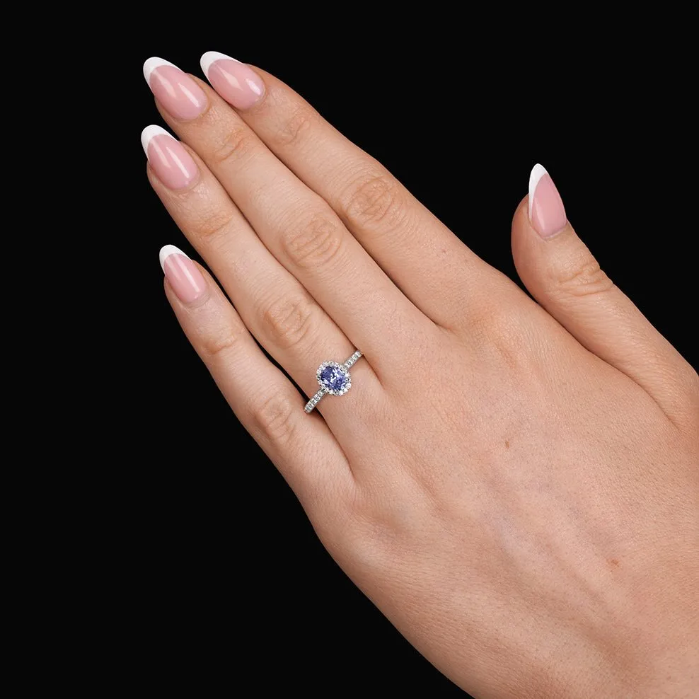 Oval Halo Sapphire Ring - Colour D/VVS sold by 7879 product image thumbnail 2