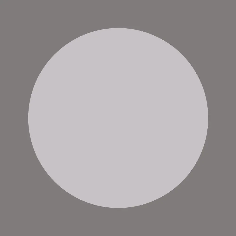 LONG SLEEVE CREW SHIRT / SILVER LINING sold by One Golden Thread