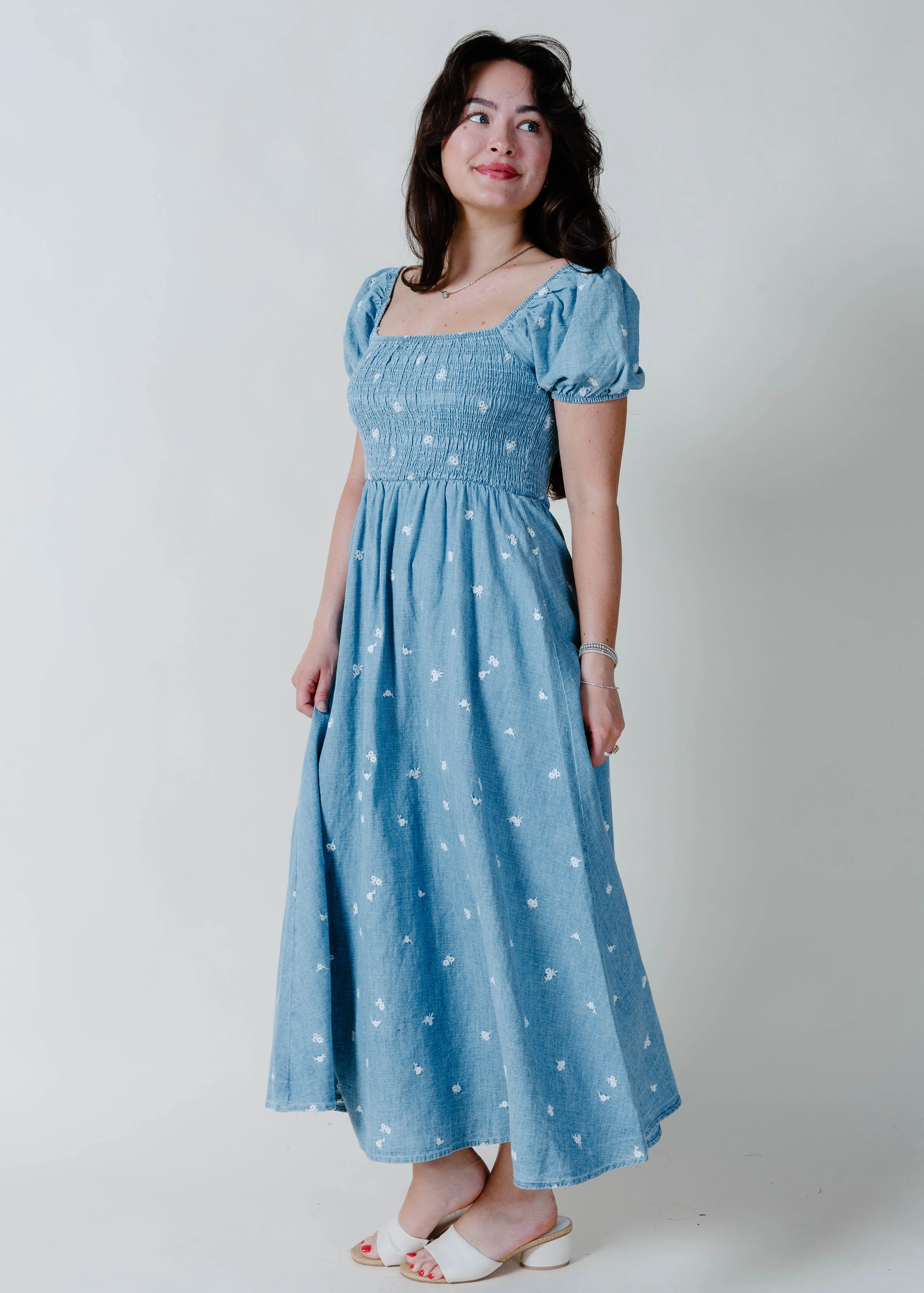 The Daisy Denim Maxi Dress sold by Vinnie Louise product image thumbnail 2