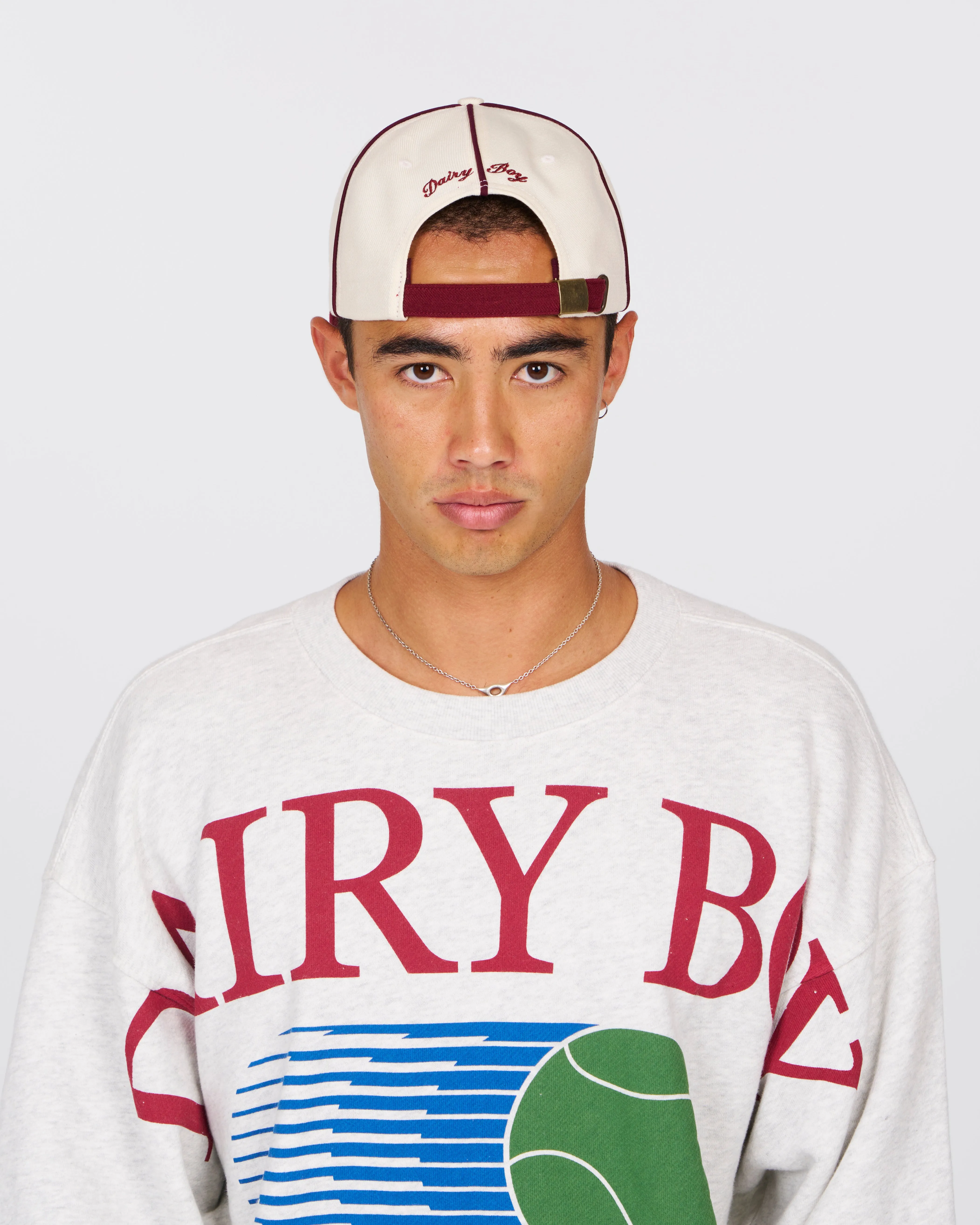 DB Baseball Hat - Crimson sold by Dairy Boy product image thumbnail 4