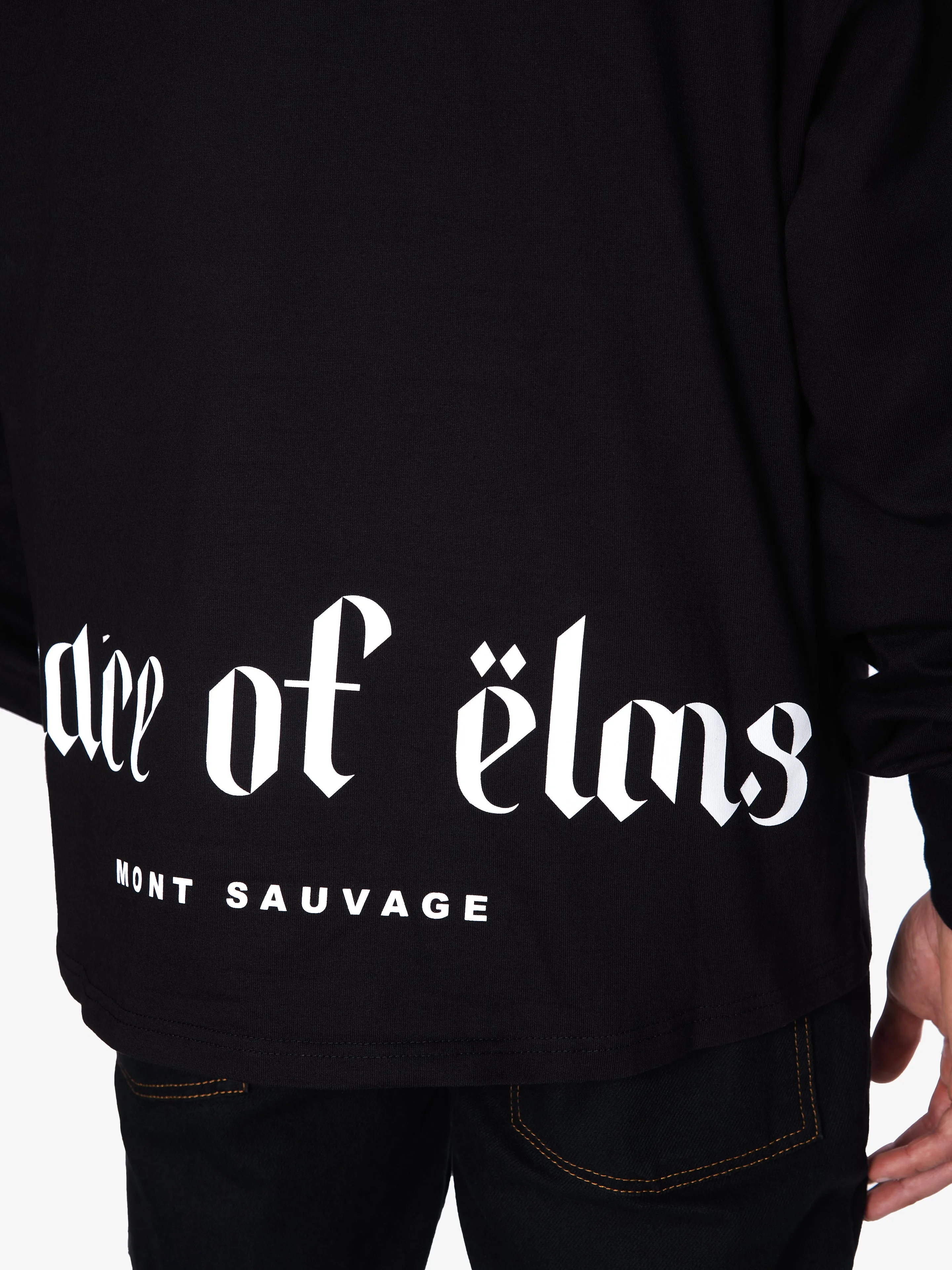 LONG-SLEEVE LOWER PRINT T-SHIRT sold by Place of Elms product image thumbnail 3