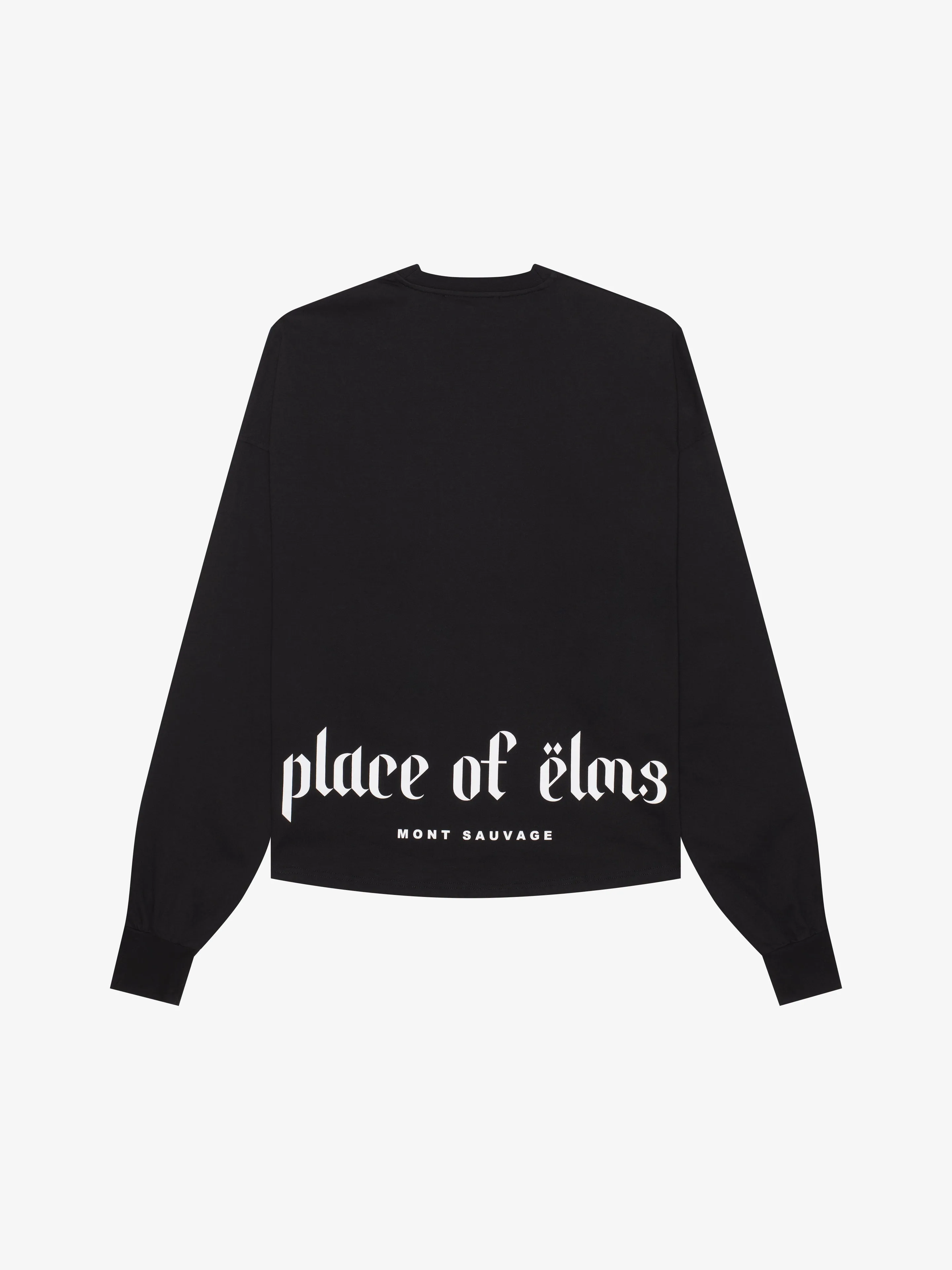 LONG-SLEEVE LOWER PRINT T-SHIRT sold by Place of Elms product image thumbnail 2