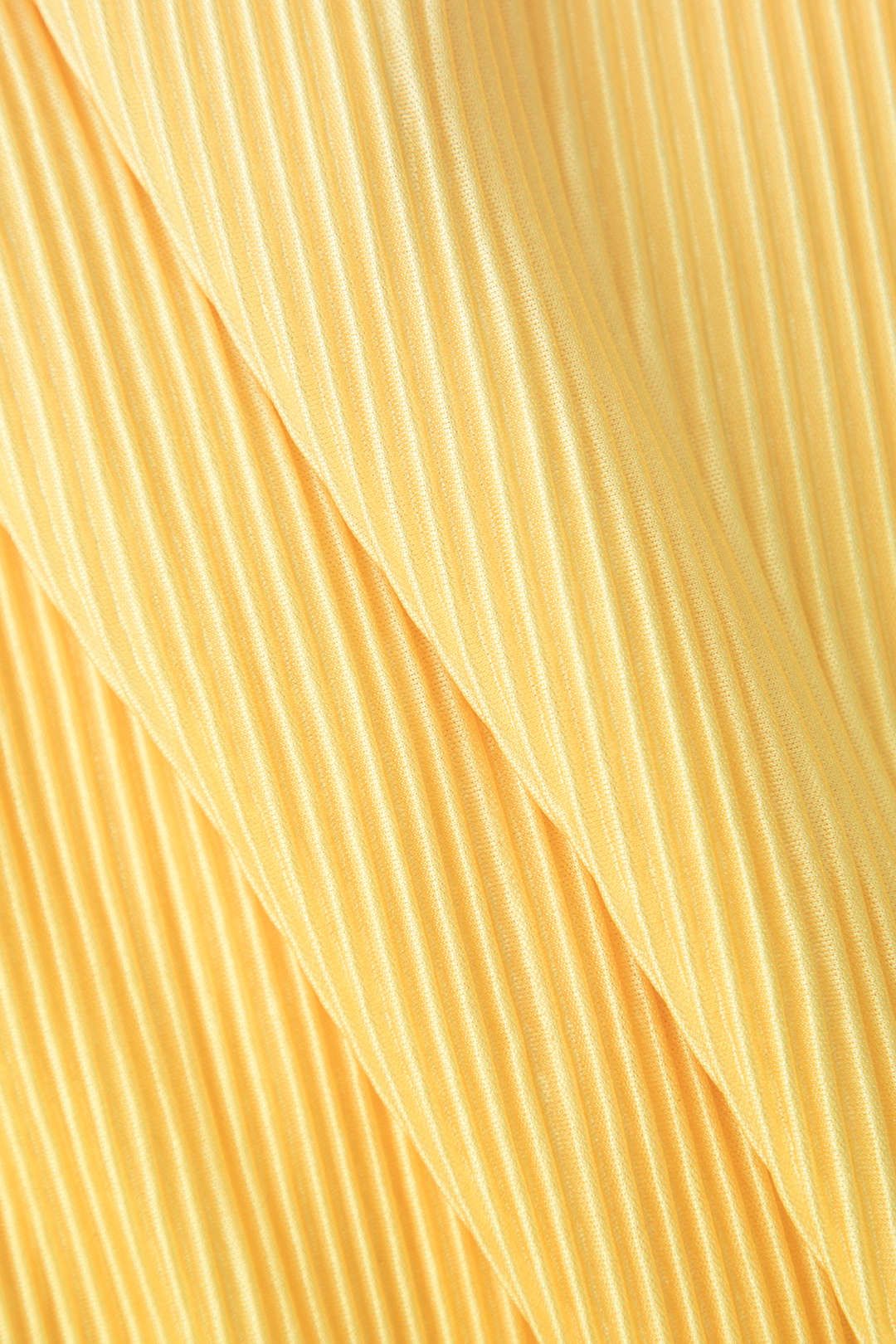 Ombre Plisse Pants sold by Micas product image thumbnail 4