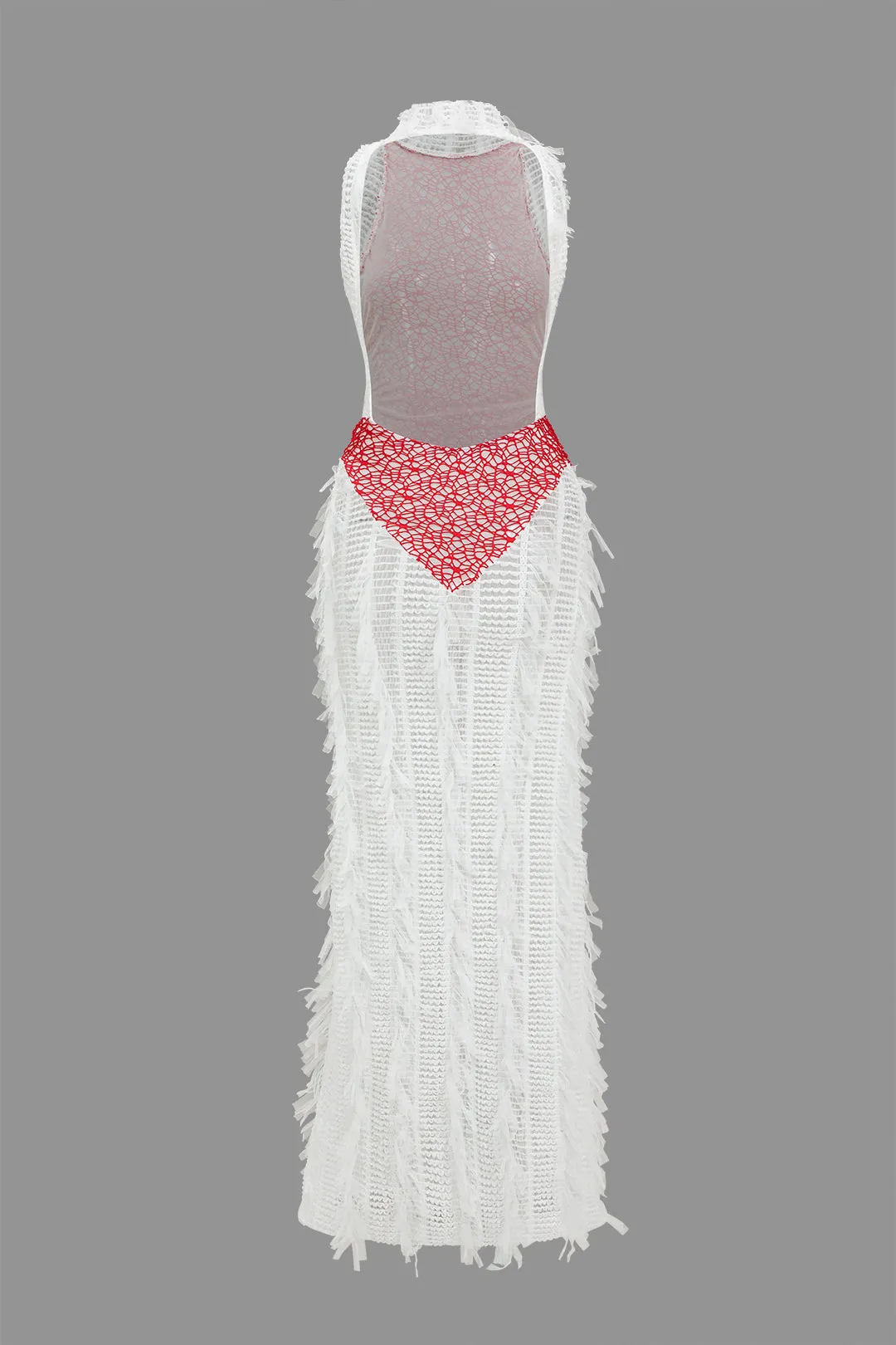 Fringe Mesh Backless Maxi Dress sold by Micas product image thumbnail 3