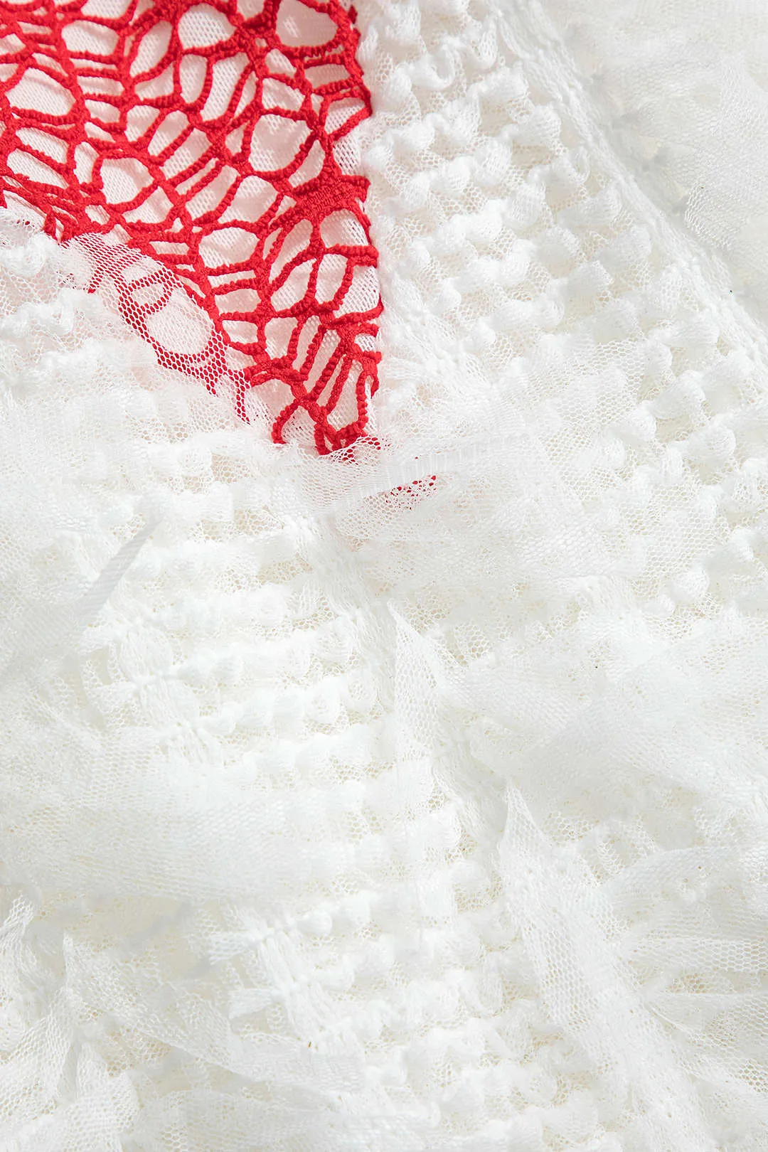 Fringe Mesh Backless Maxi Dress sold by Micas product image thumbnail 4