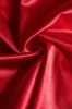 Satin Tie-Up Ruched Long Sleeve Mini Dress sold by Micas
