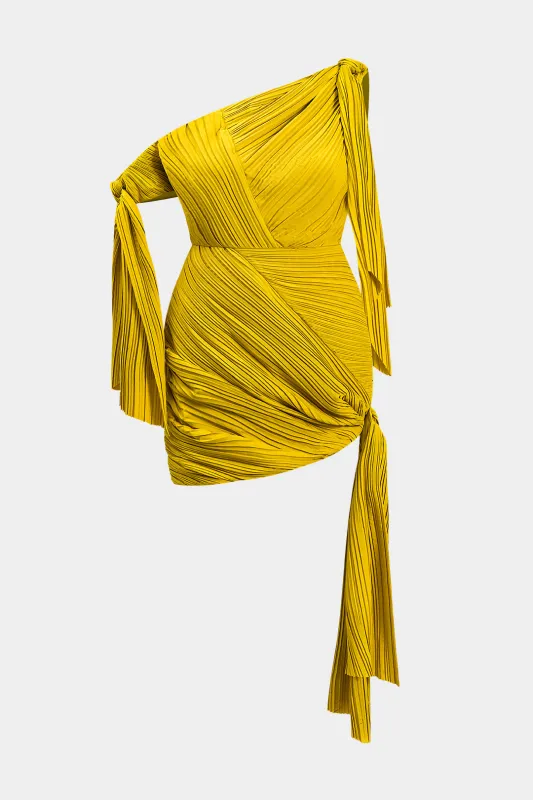 Plus størrelse slips front plisset asymmetrisk ærmeløs mini kjole sold by Micas