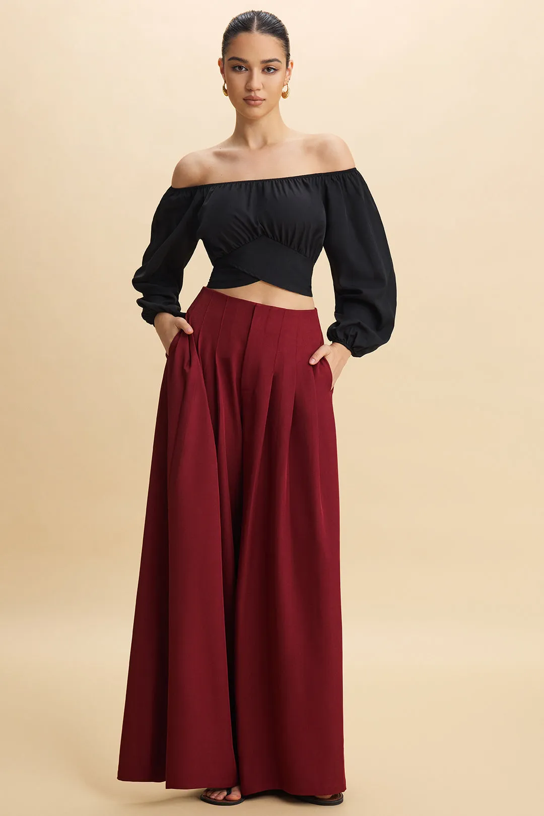 Pleated Wide Leg Trousers sold by Micas product image thumbnail 3