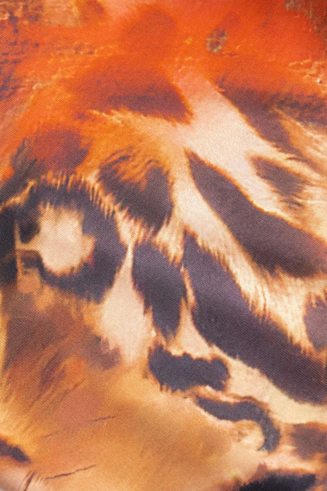 Leopard Print High Waist Shorts sold by Micas product image thumbnail 4