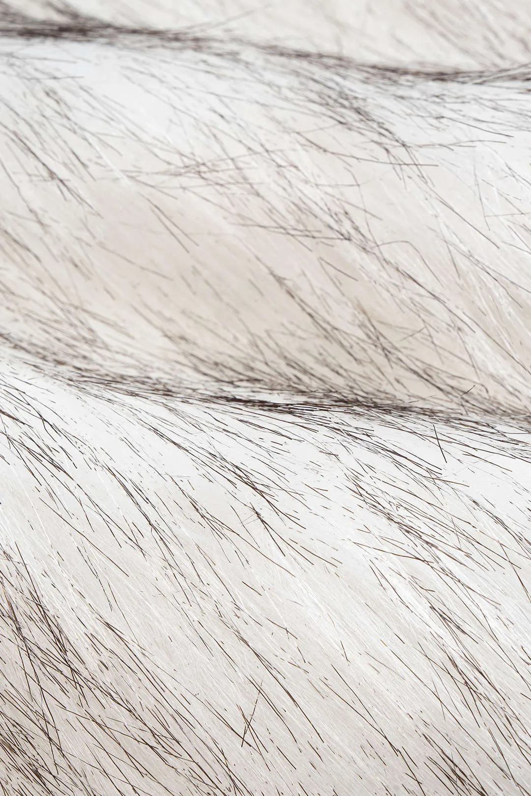 Faux Fur Mock Neck Vest sold by Micas product image thumbnail 4