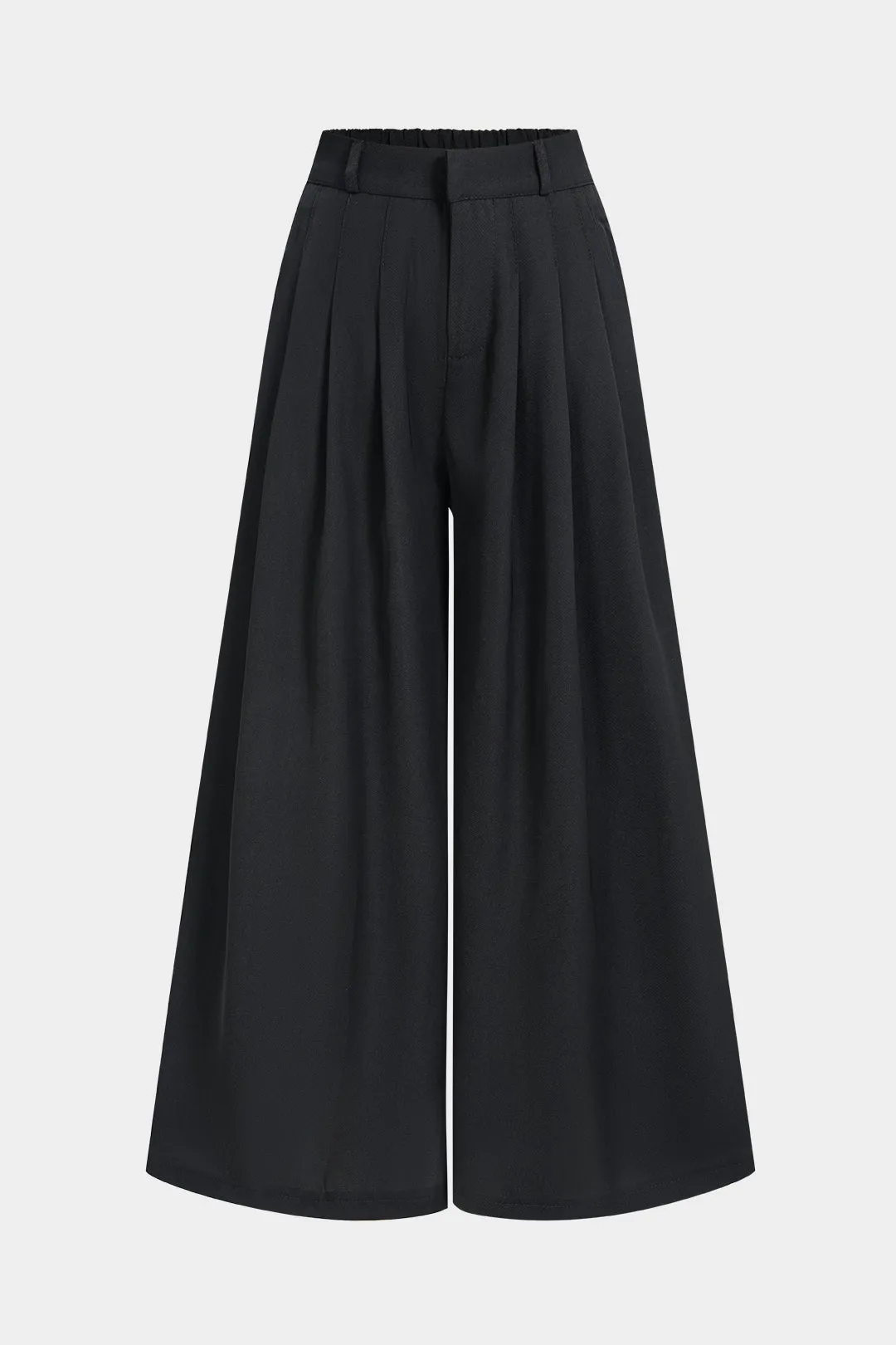 High Waist Pleated Wide Leg Pants sold by Micas