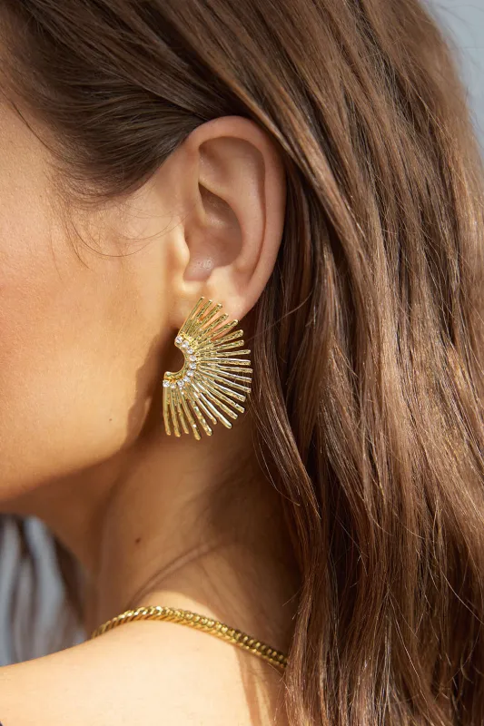 Titanium Steel Geometric Ray Earrings made by Micas