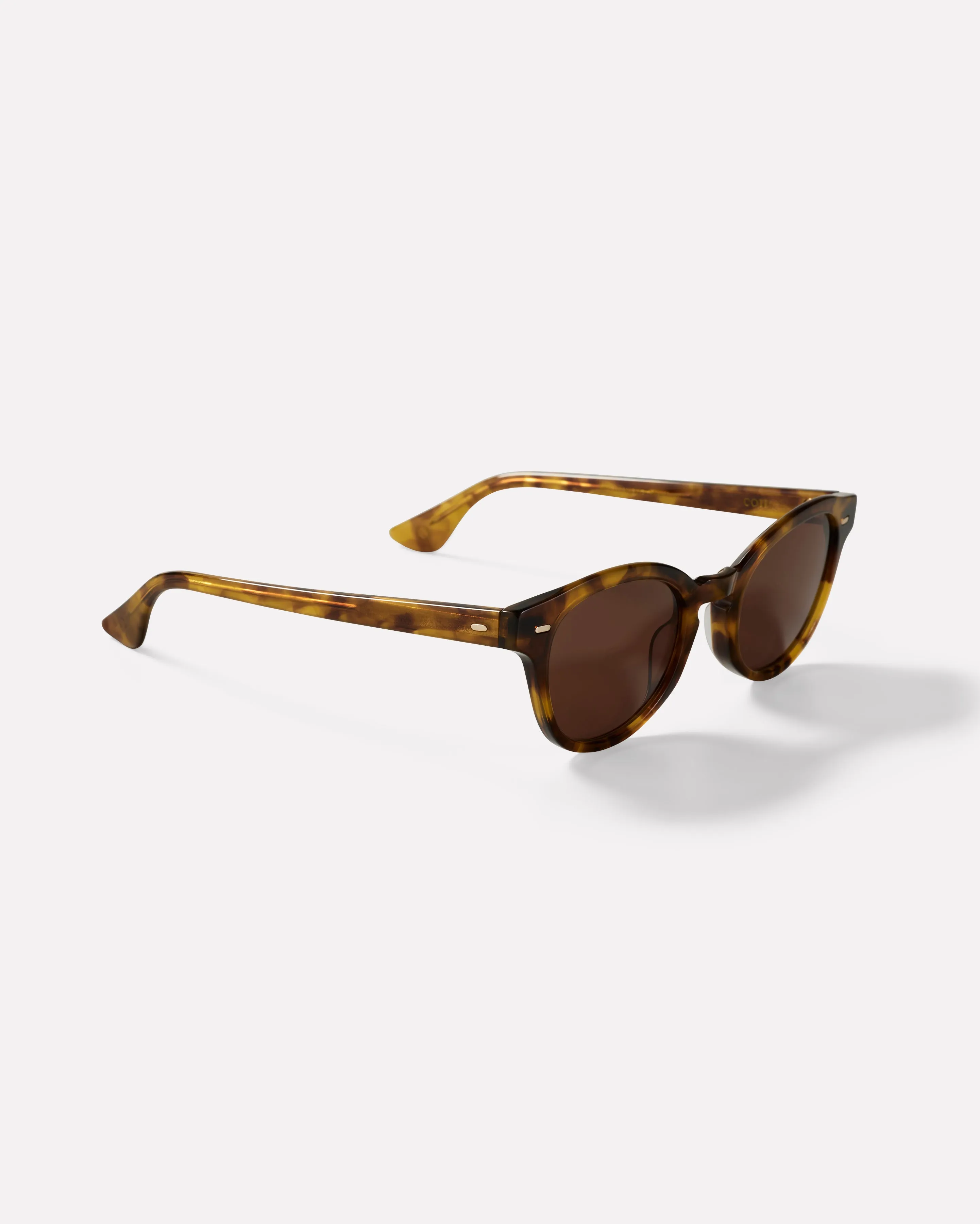 Coil - Light Tortoise Polished / Bronze sold by Epokhe product image thumbnail 4
