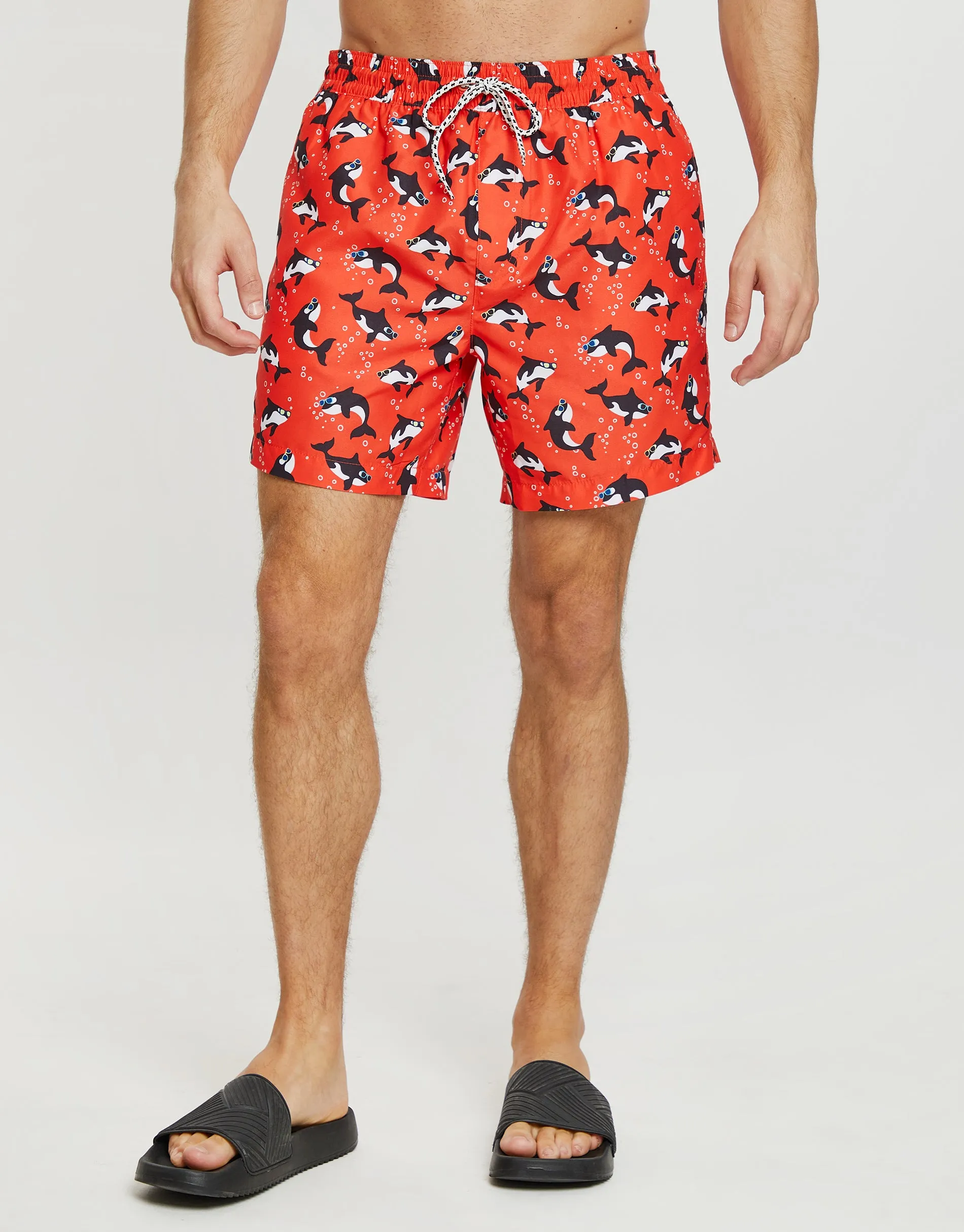 Red Killer Whale Print Swim Shorts sold by Threadbare