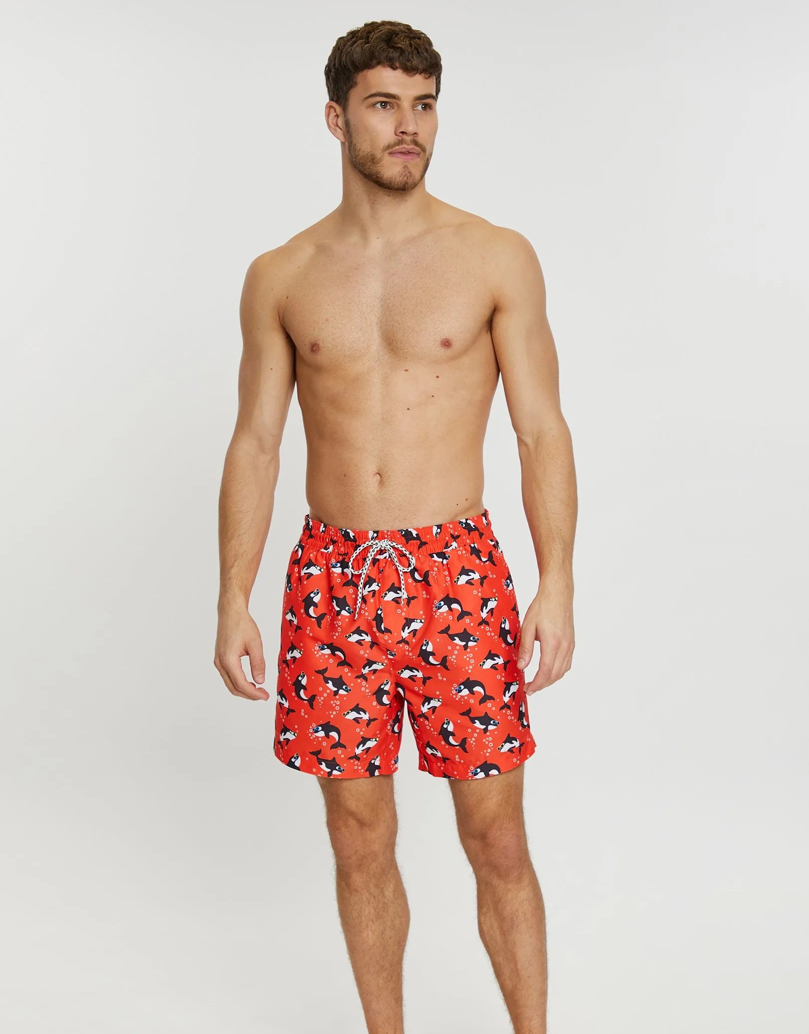 Red Killer Whale Print Swim Shorts sold by Threadbare product image thumbnail 3