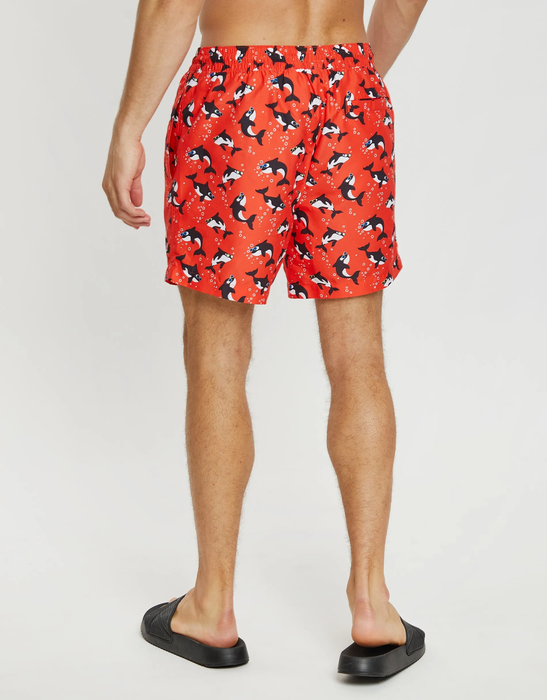 Red Killer Whale Print Swim Shorts sold by Threadbare product image thumbnail 2