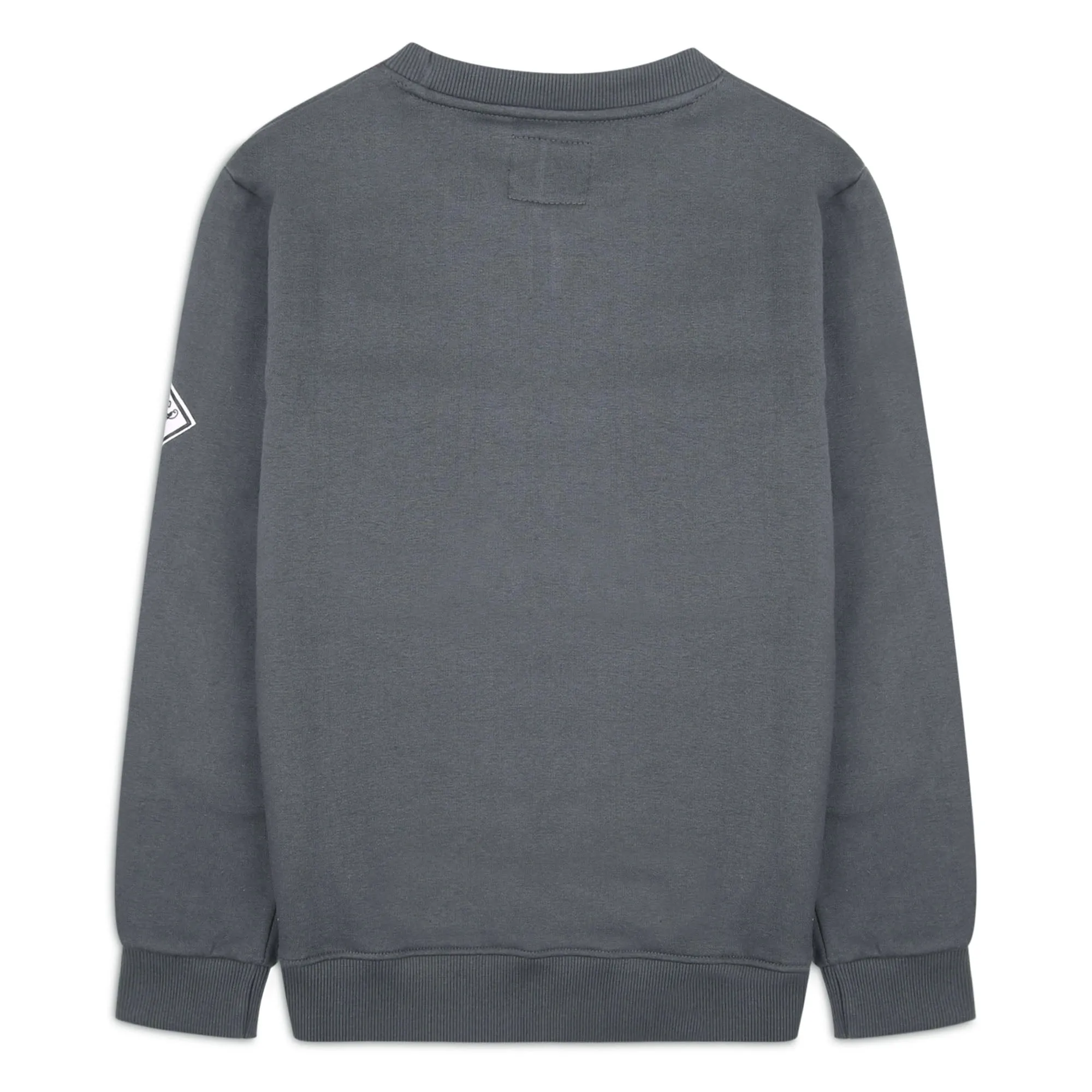 Boys' Grey Crew Neck Sweatshirt sold by Threadbare product image thumbnail 2