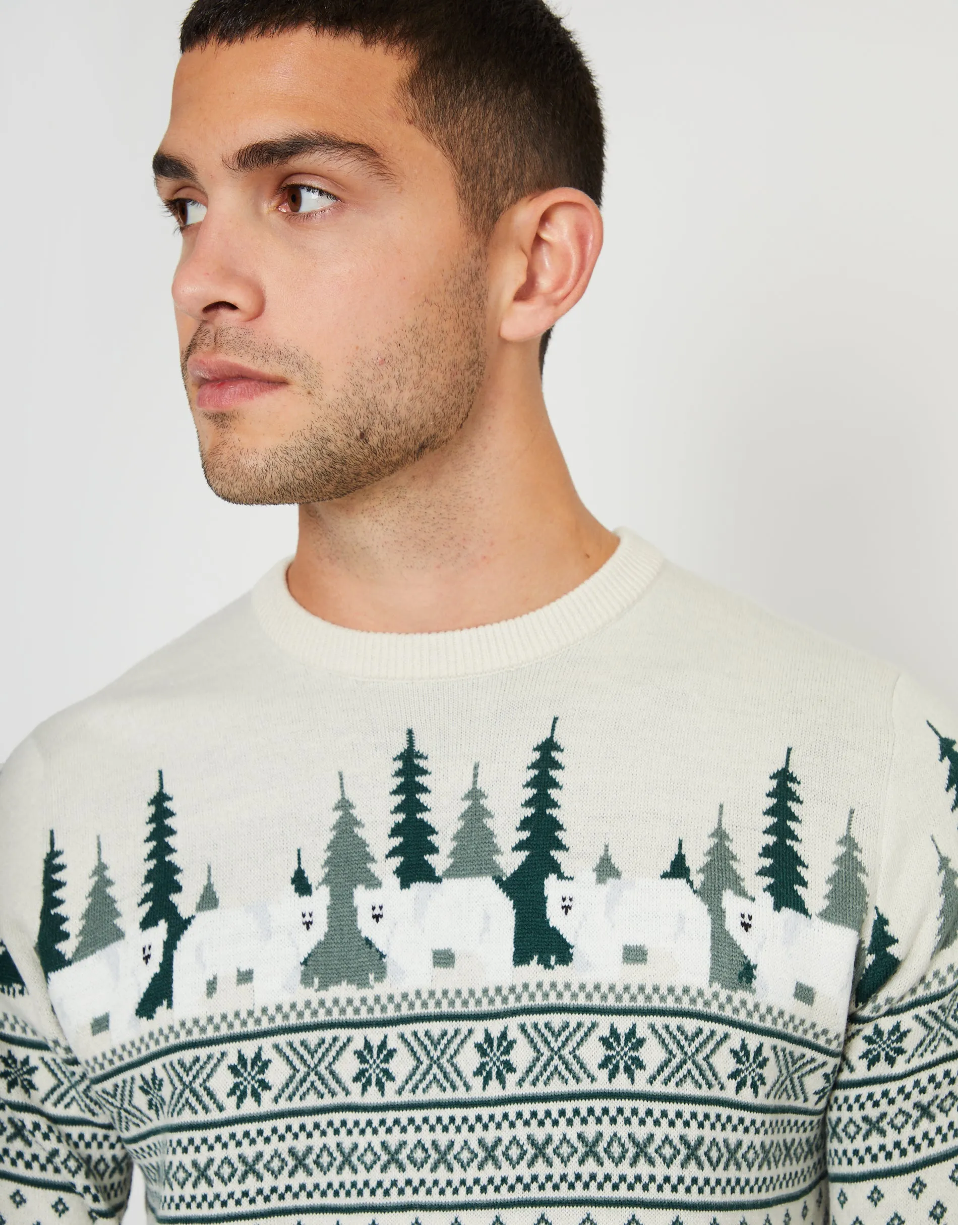 Stone Geo Fairisle Crew Neck Christmas Jumper sold by Threadbare product image thumbnail 4