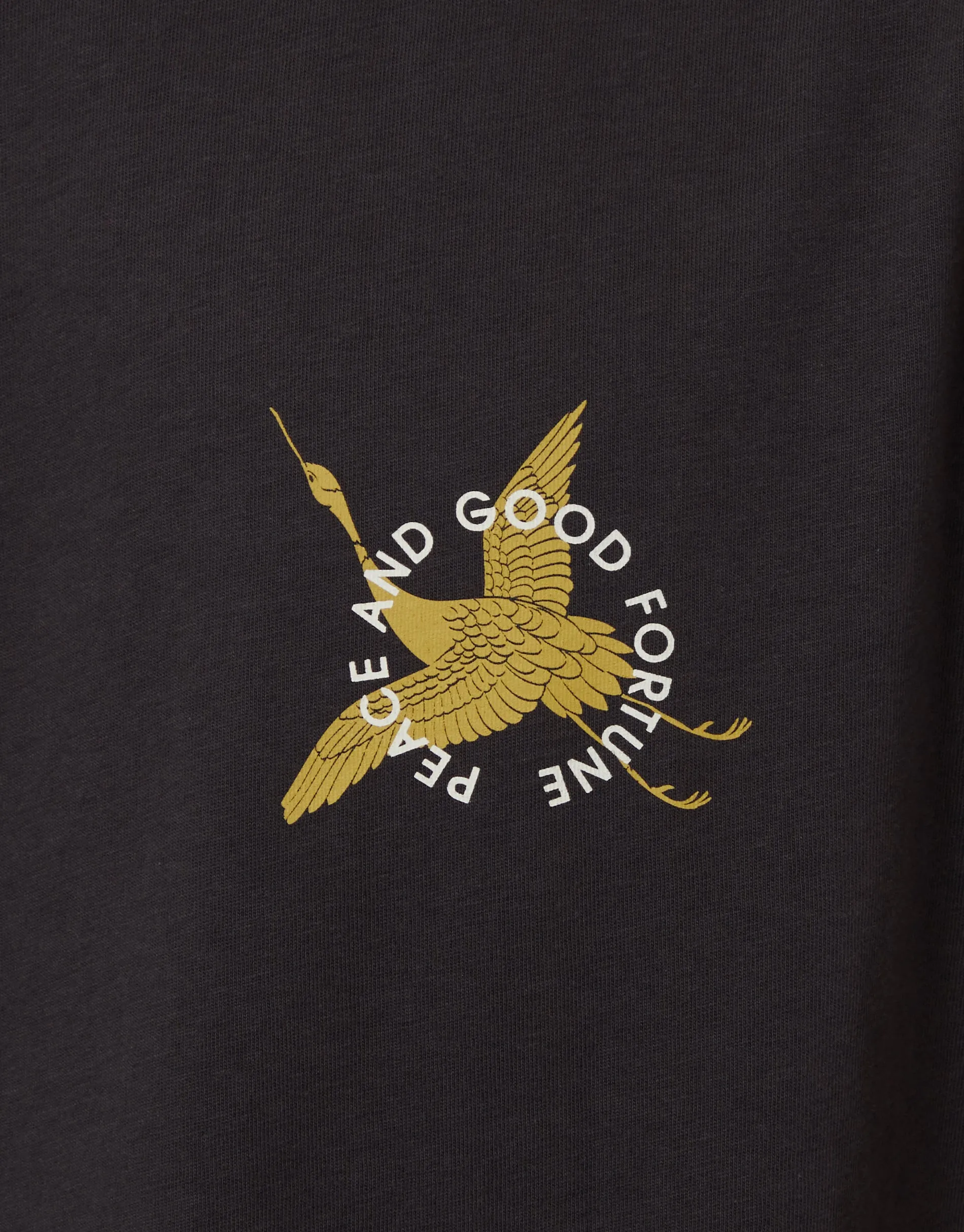 Charcoal Grey Relaxed Fit Good Fortune Cotton T-Shirt sold by Threadbare product image thumbnail 4